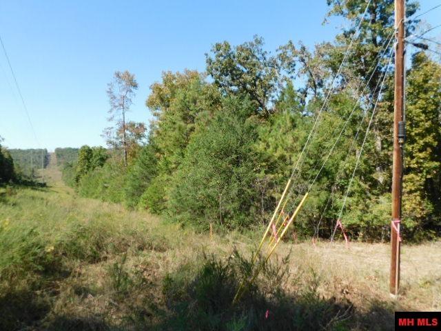 009-02955-000 Owens Drive