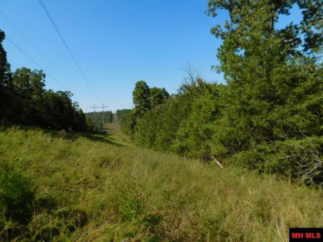 009-02955-000 Owens Drive