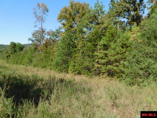 009-02955-000 Owens Drive