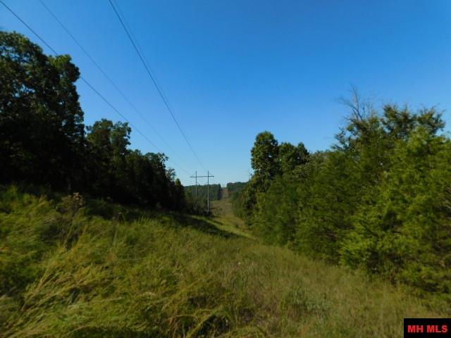 009-02955-001 Owens Drive