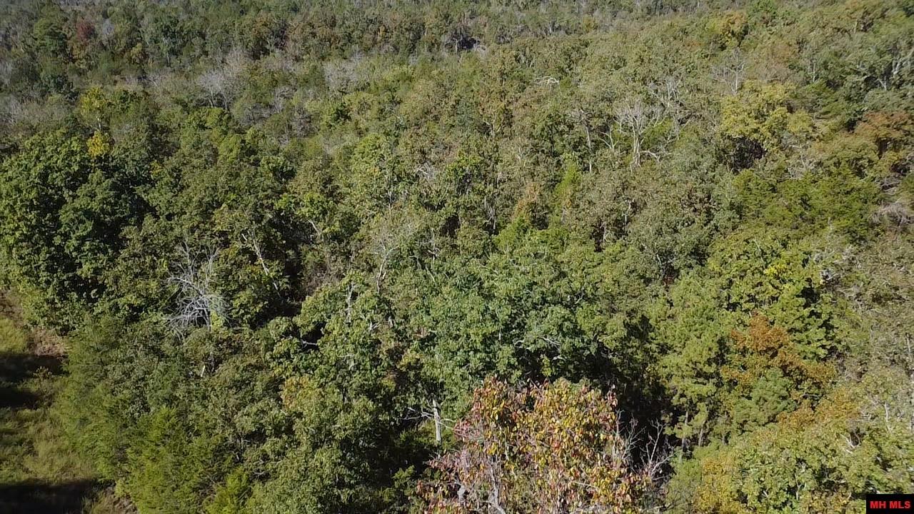 009-02955-001 Owens Drive