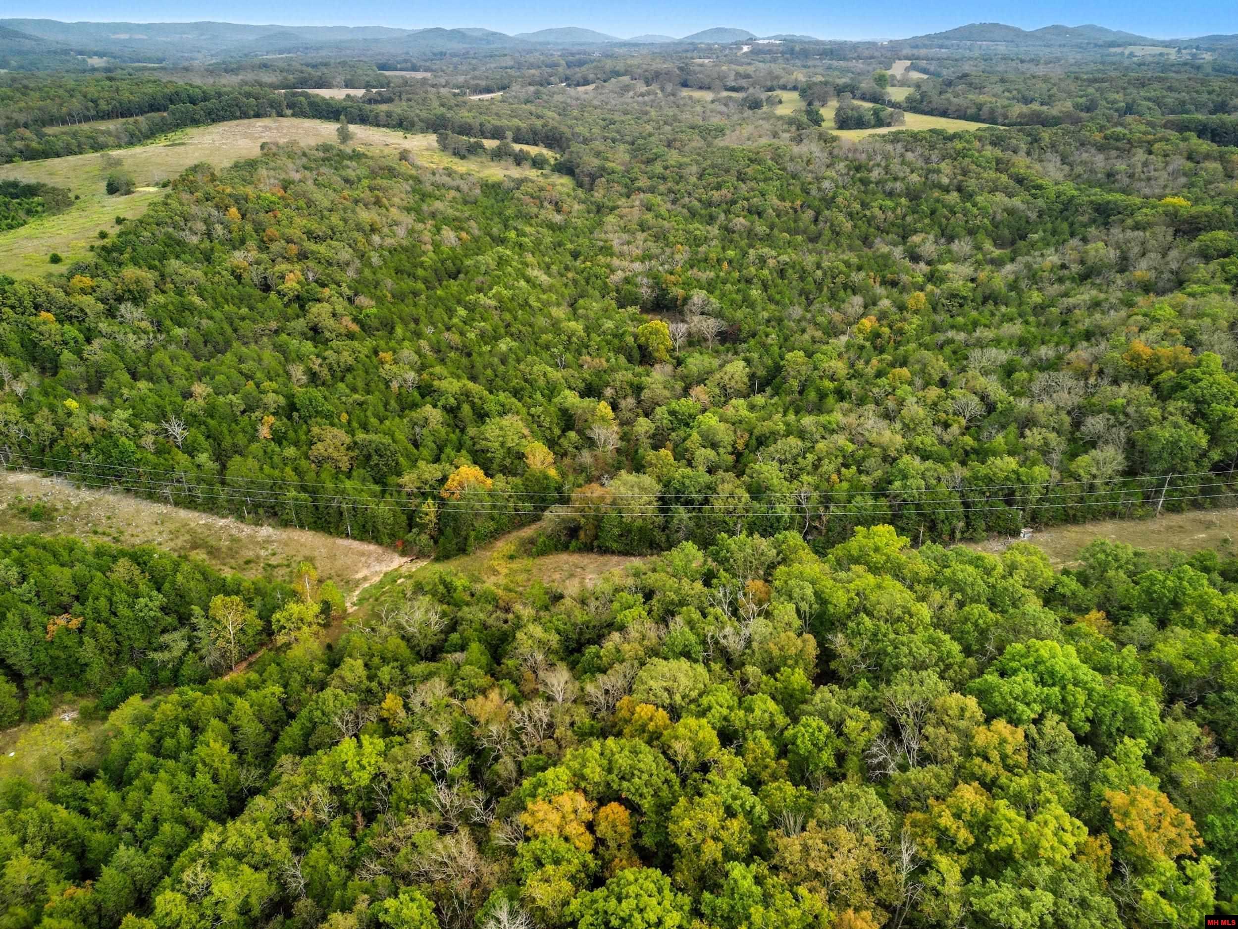 090516000000009 Tall Timbers Trail