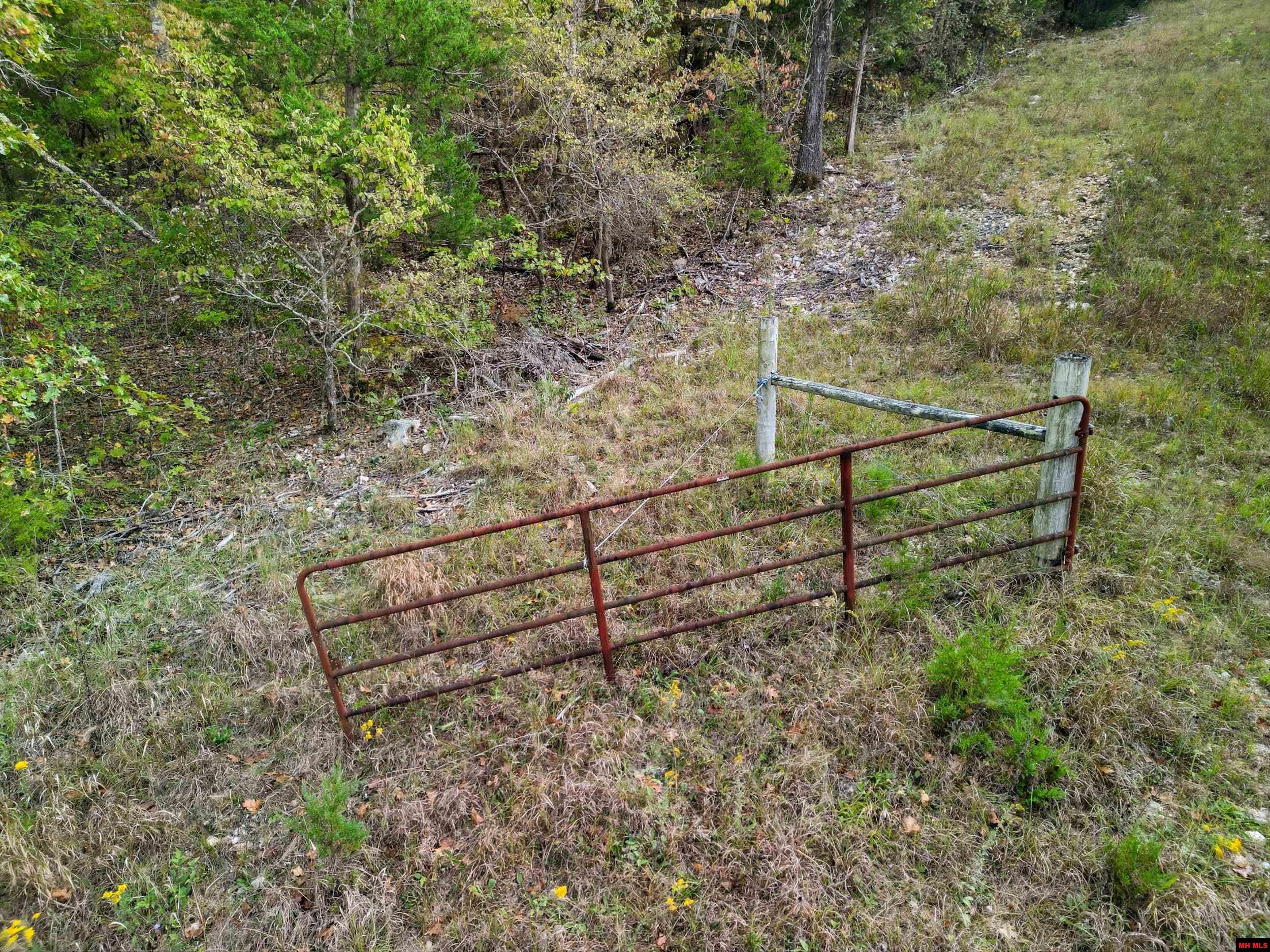 090516000000009 Tall Timbers Trail