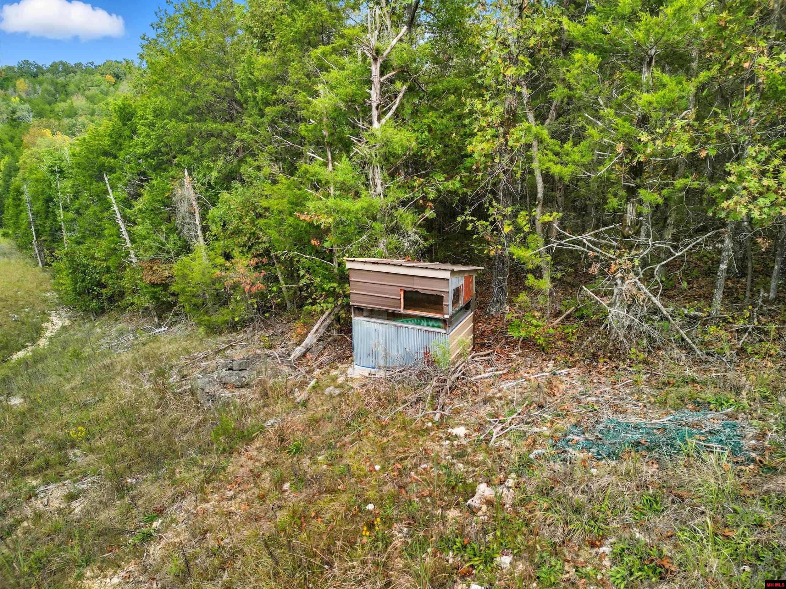 090516000000009 Tall Timbers Trail