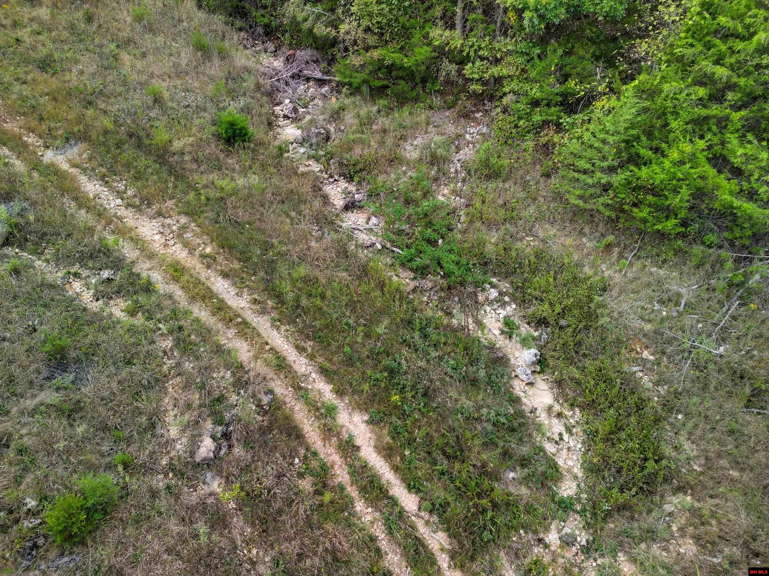 090516000000009 Tall Timbers Trail