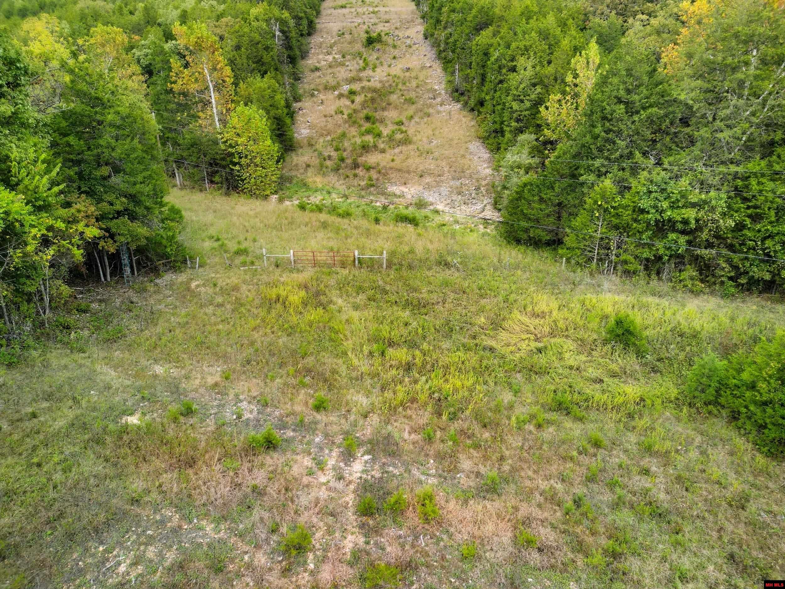090516000000009 Tall Timbers Trail