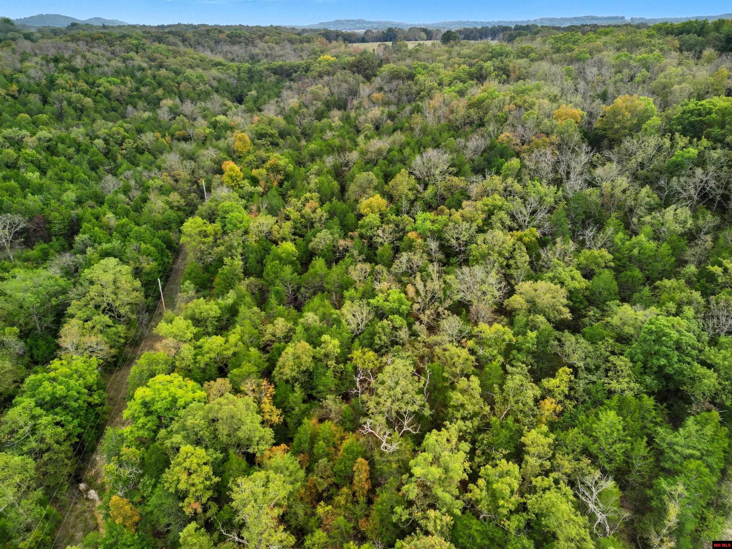090516000000009 Tall Timbers Trail
