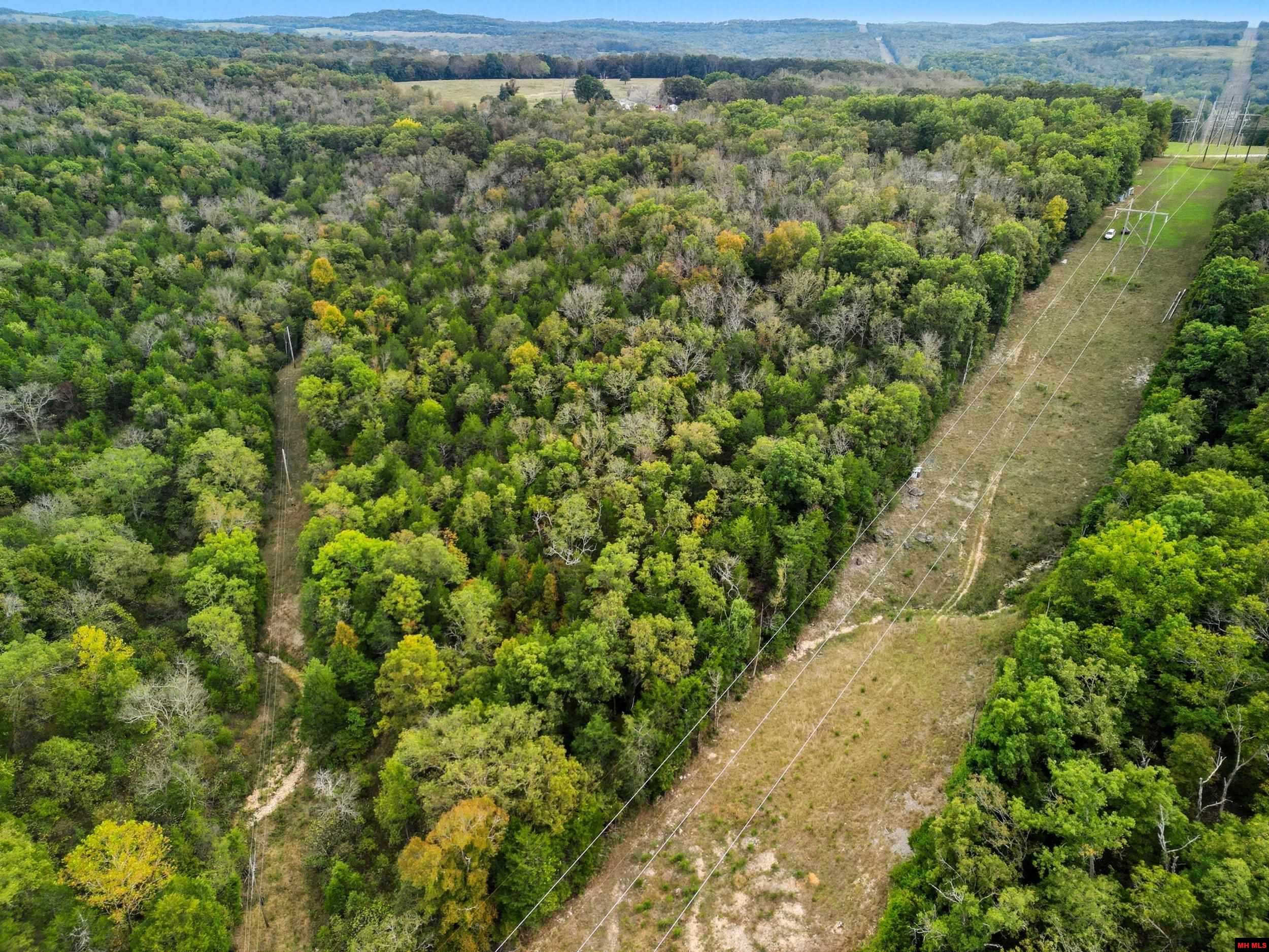 090516000000009 Tall Timbers Trail