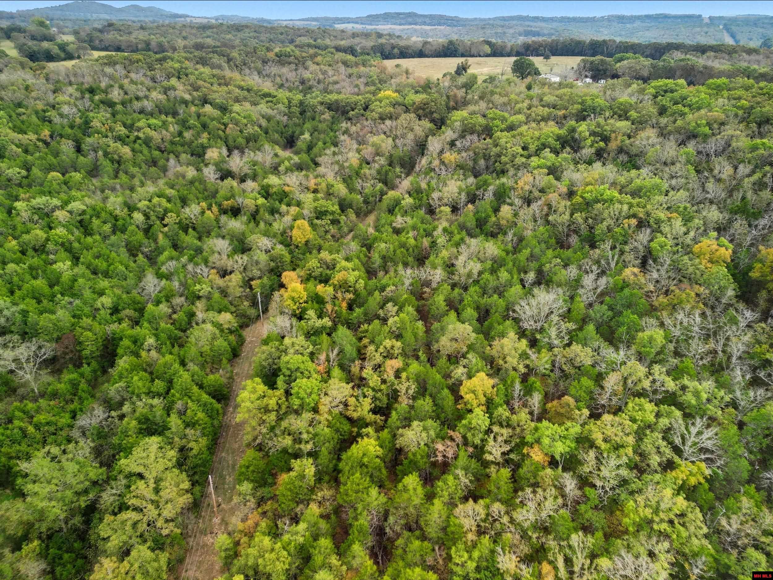 090516000000009 Tall Timbers Trail