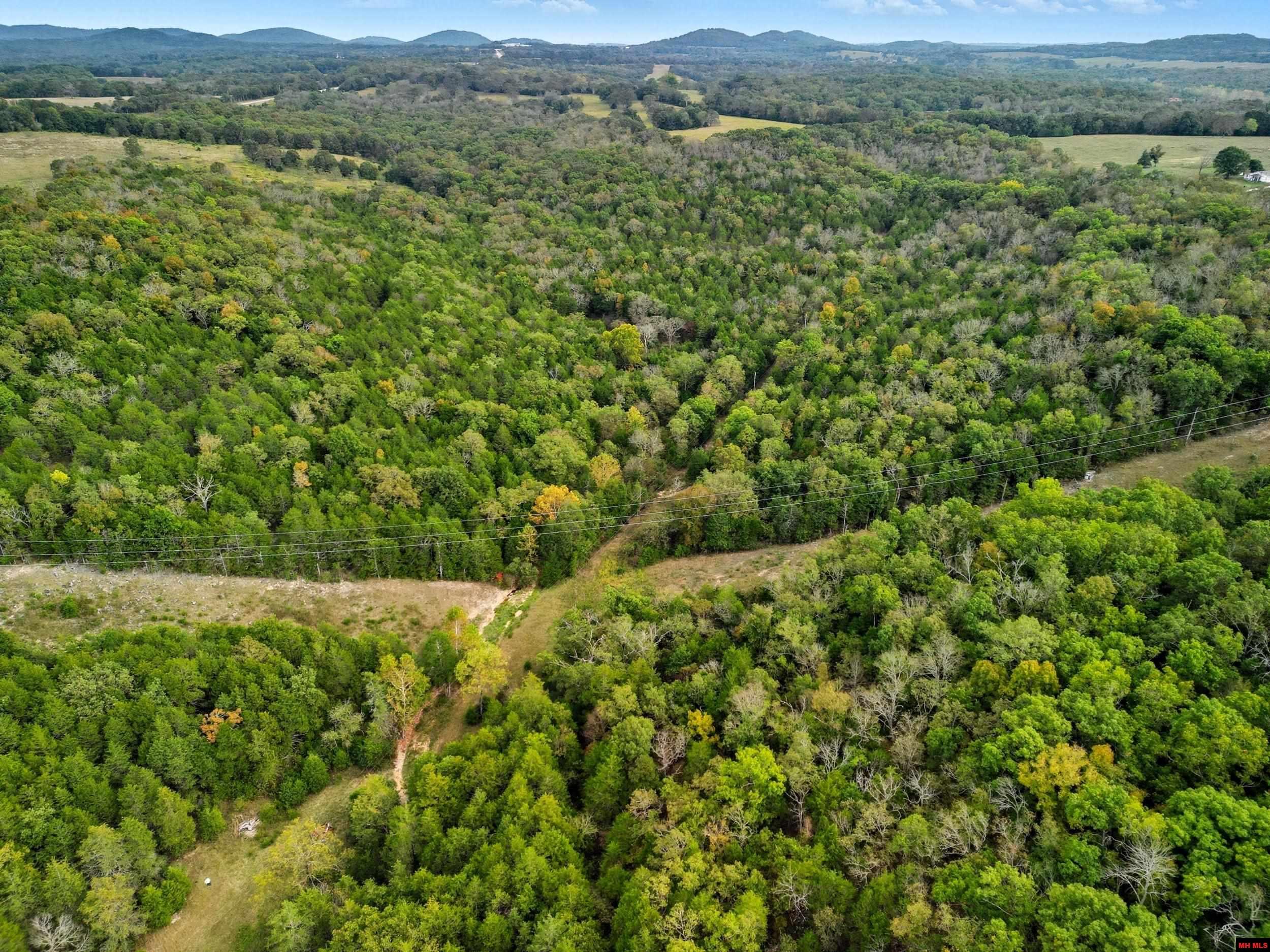 090516000000009 Tall Timbers Trail