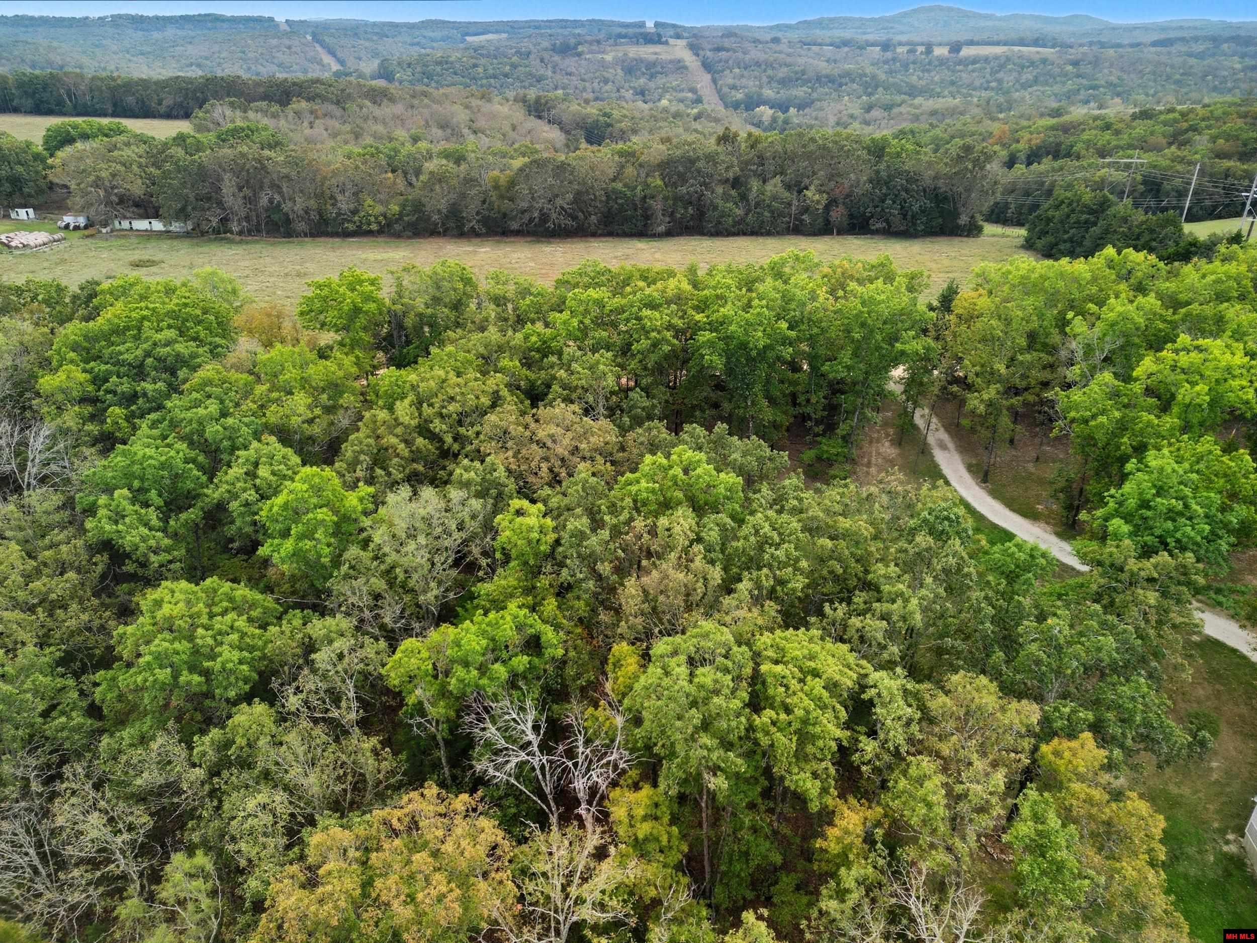 090516000000009 Tall Timbers Trail