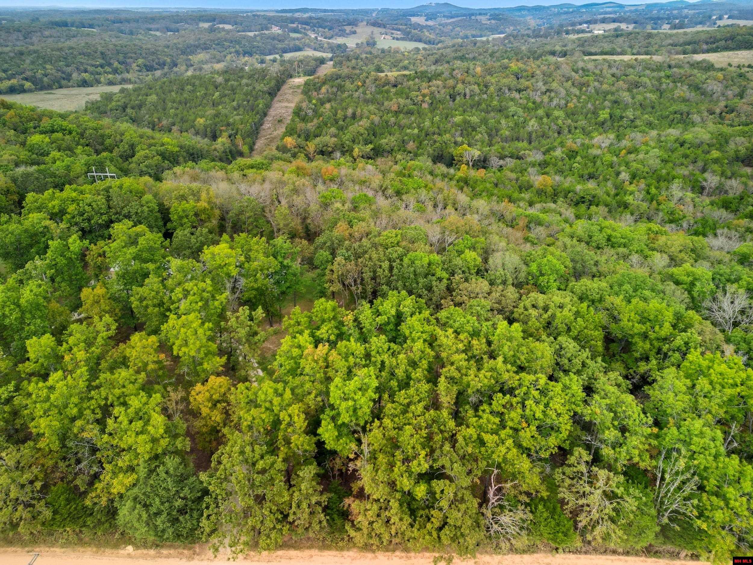 090516000000009 Tall Timbers Trail