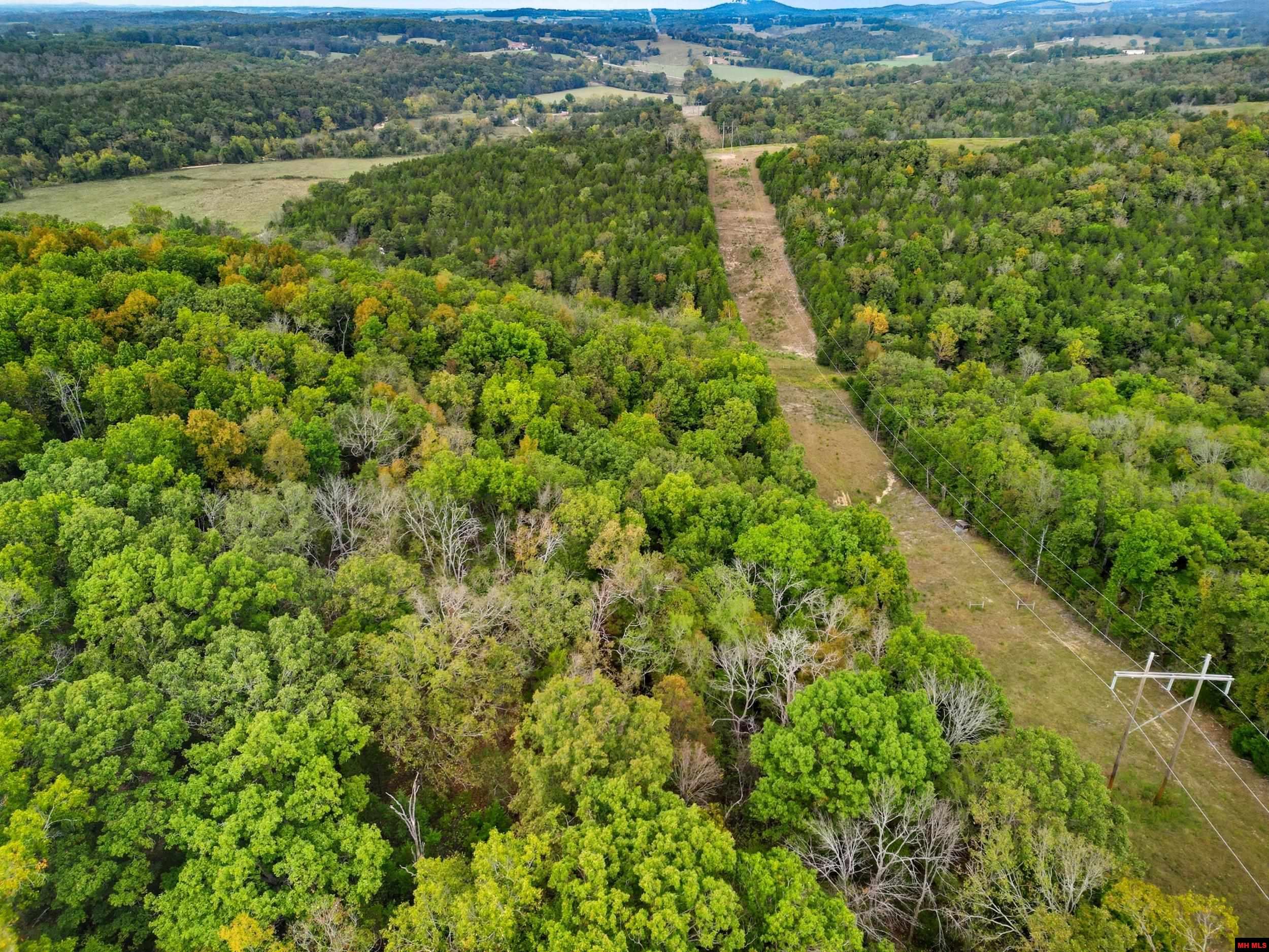 090516000000009 Tall Timbers Trail