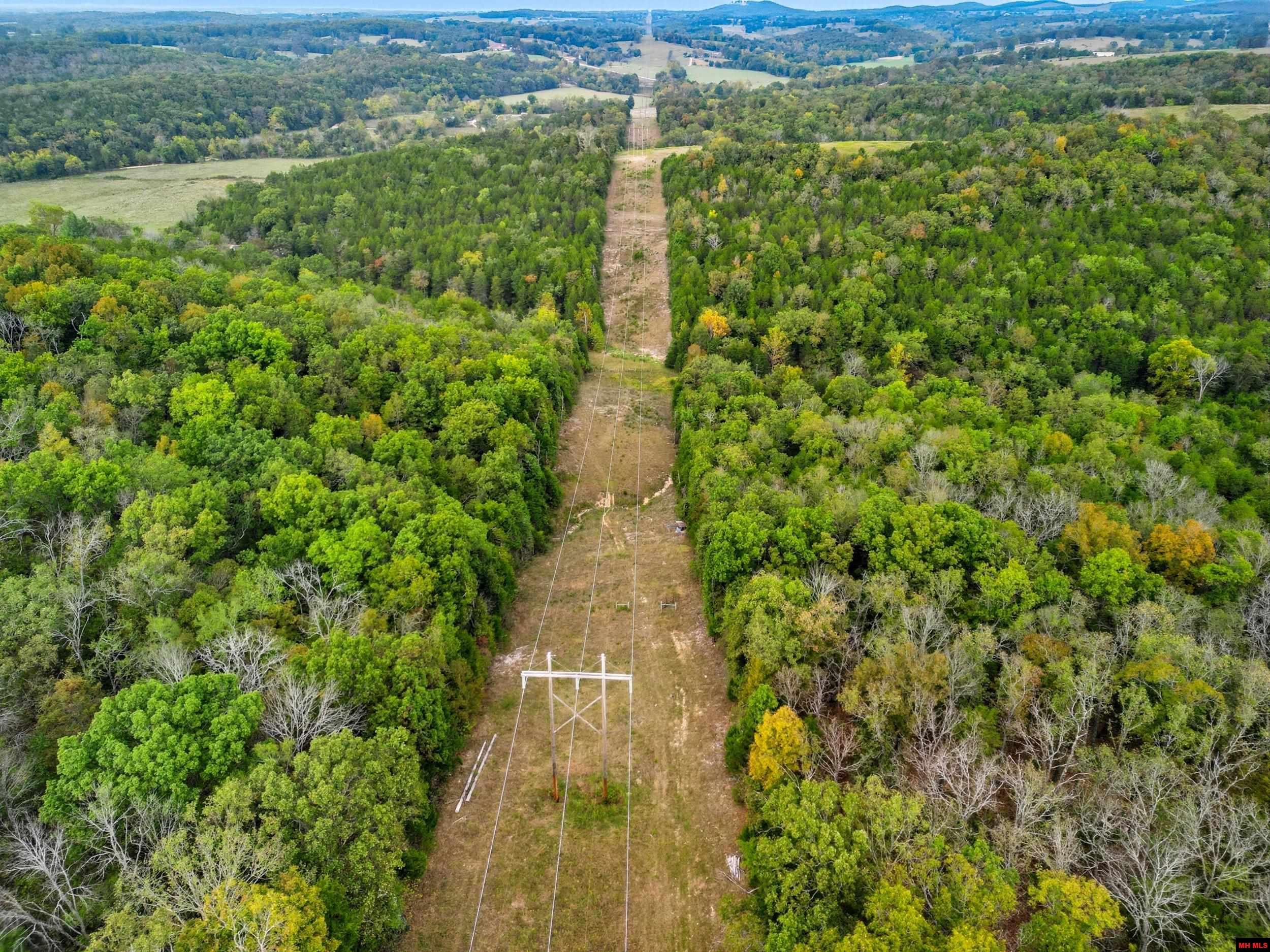 090516000000009 Tall Timbers Trail