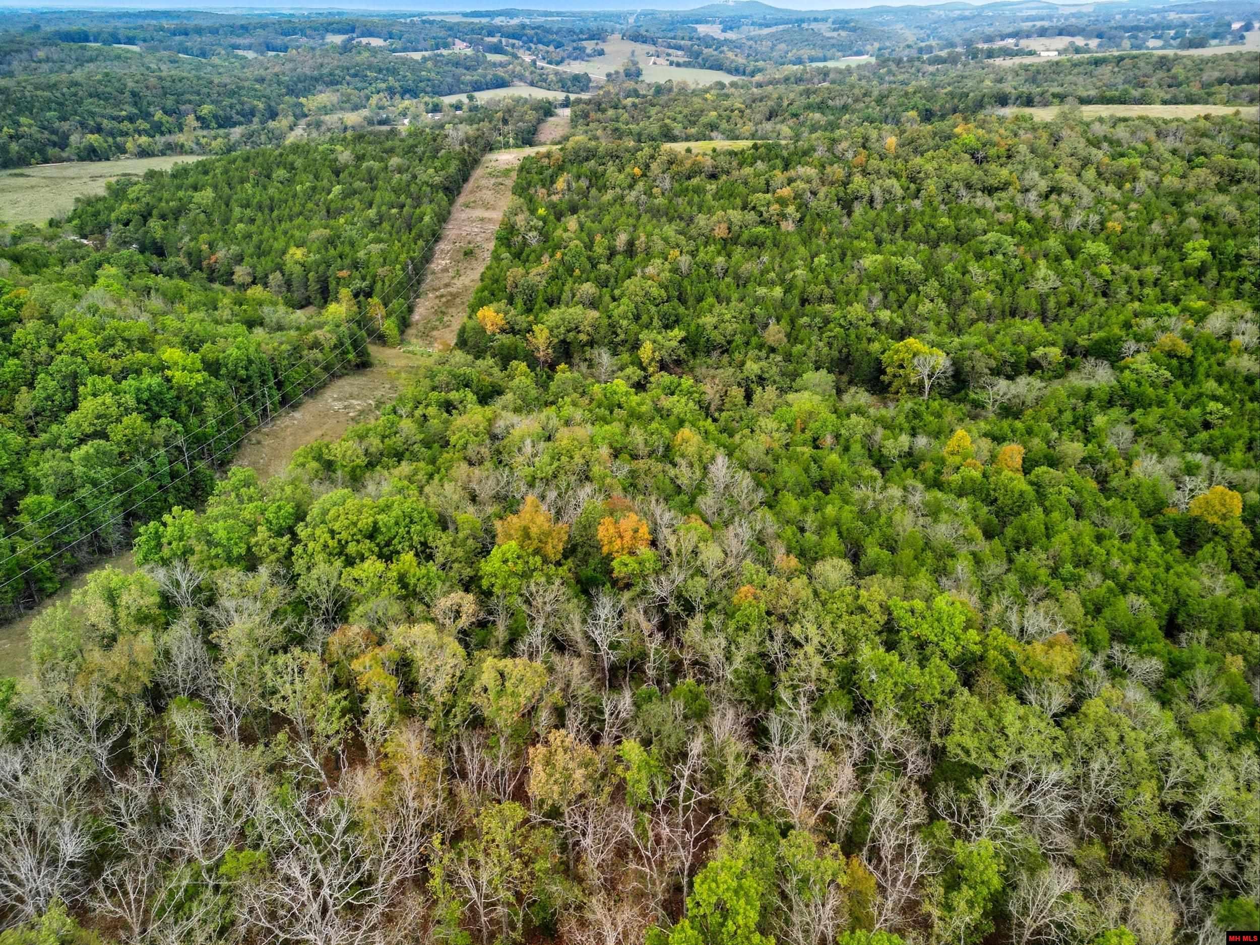 090516000000009 Tall Timbers Trail