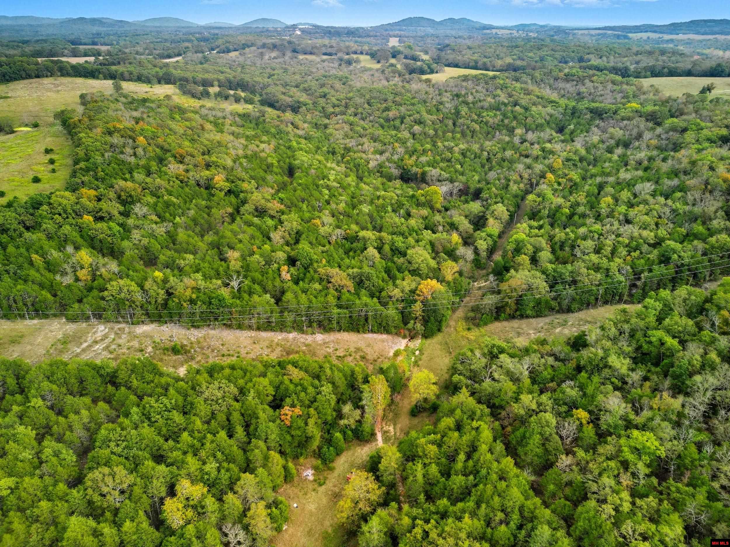 090516000000009 Tall Timbers Trail