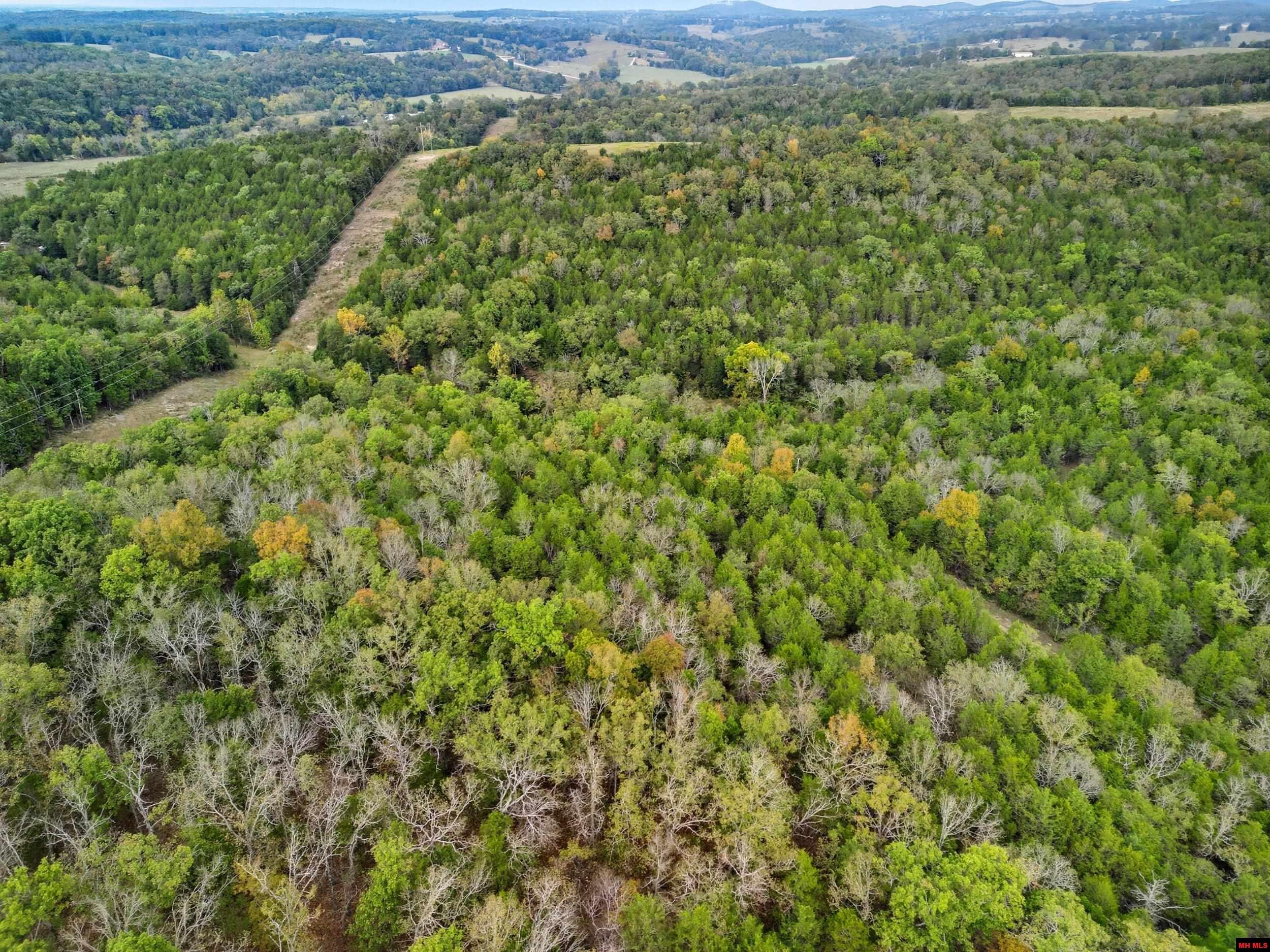 090516000000009 Tall Timbers Trail