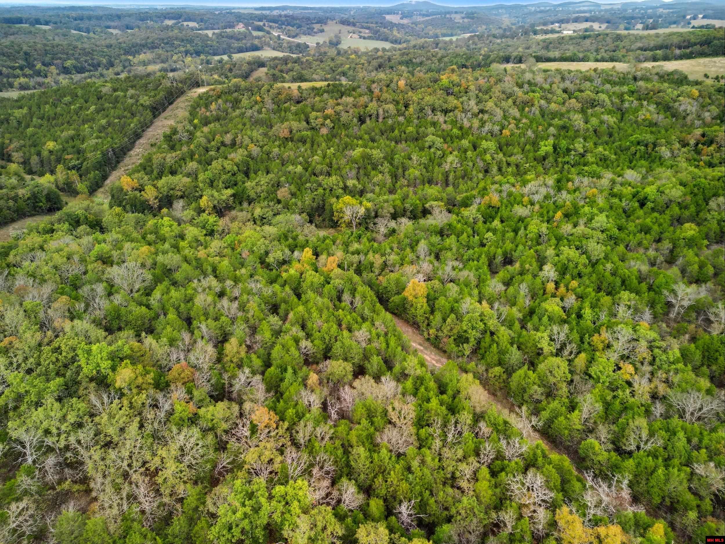 090516000000009 Tall Timbers Trail