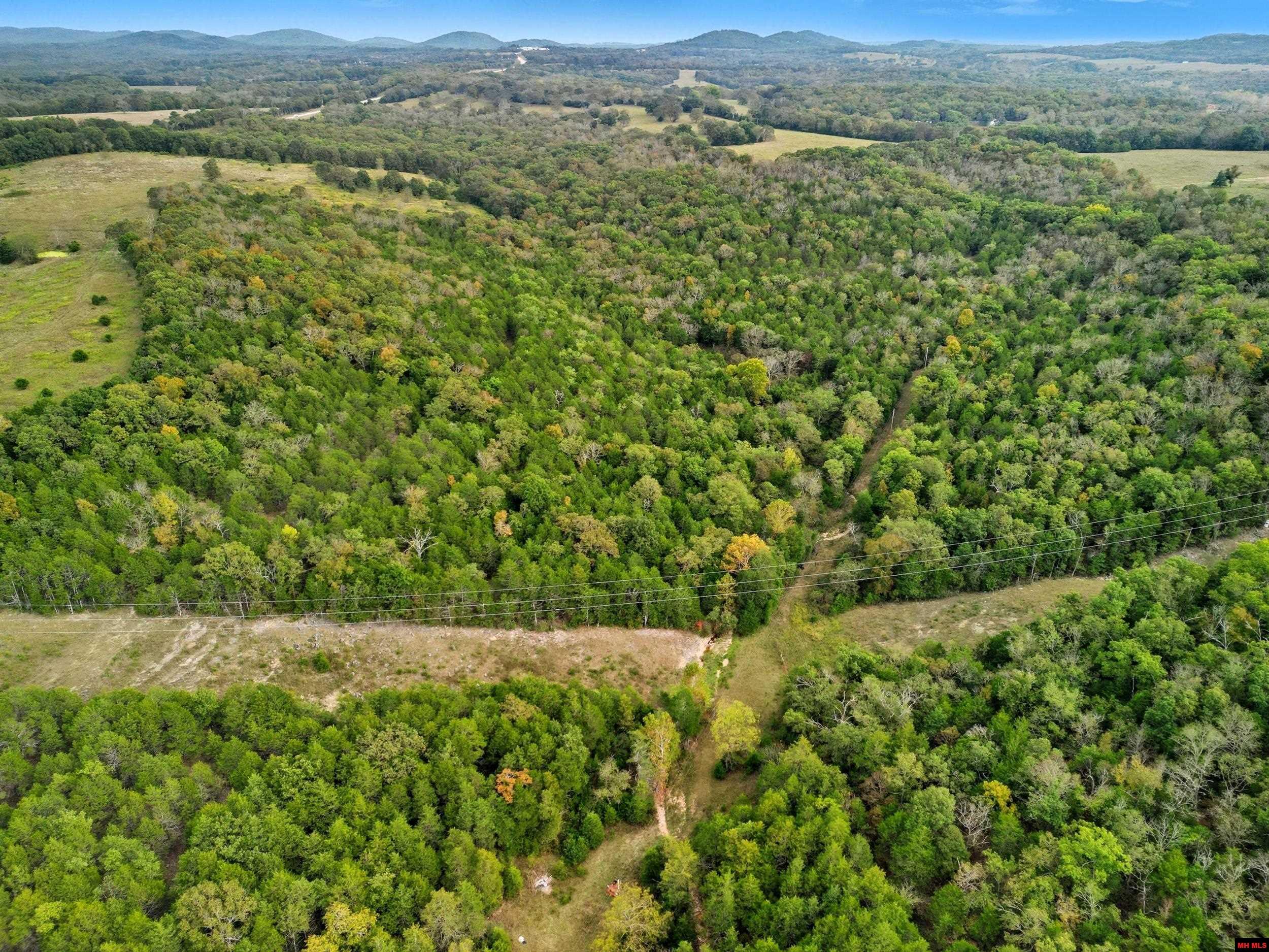 090516000000009 Tall Timbers Trail