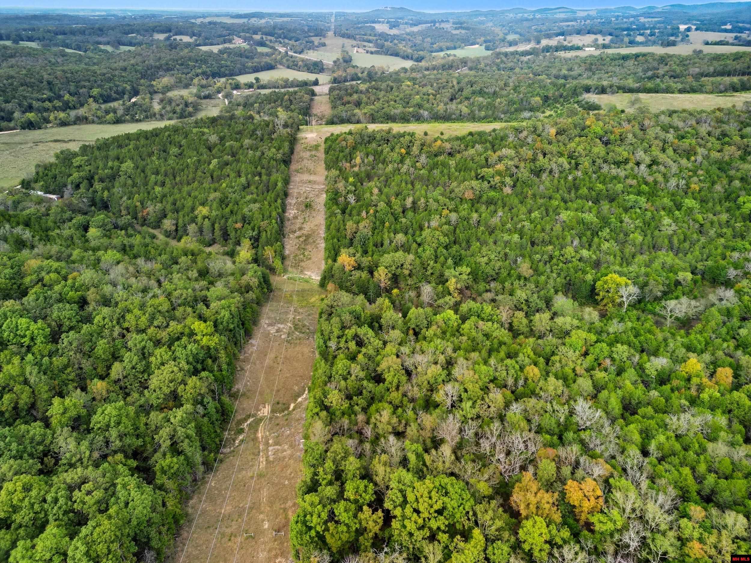 090516000000009 Tall Timbers Trail