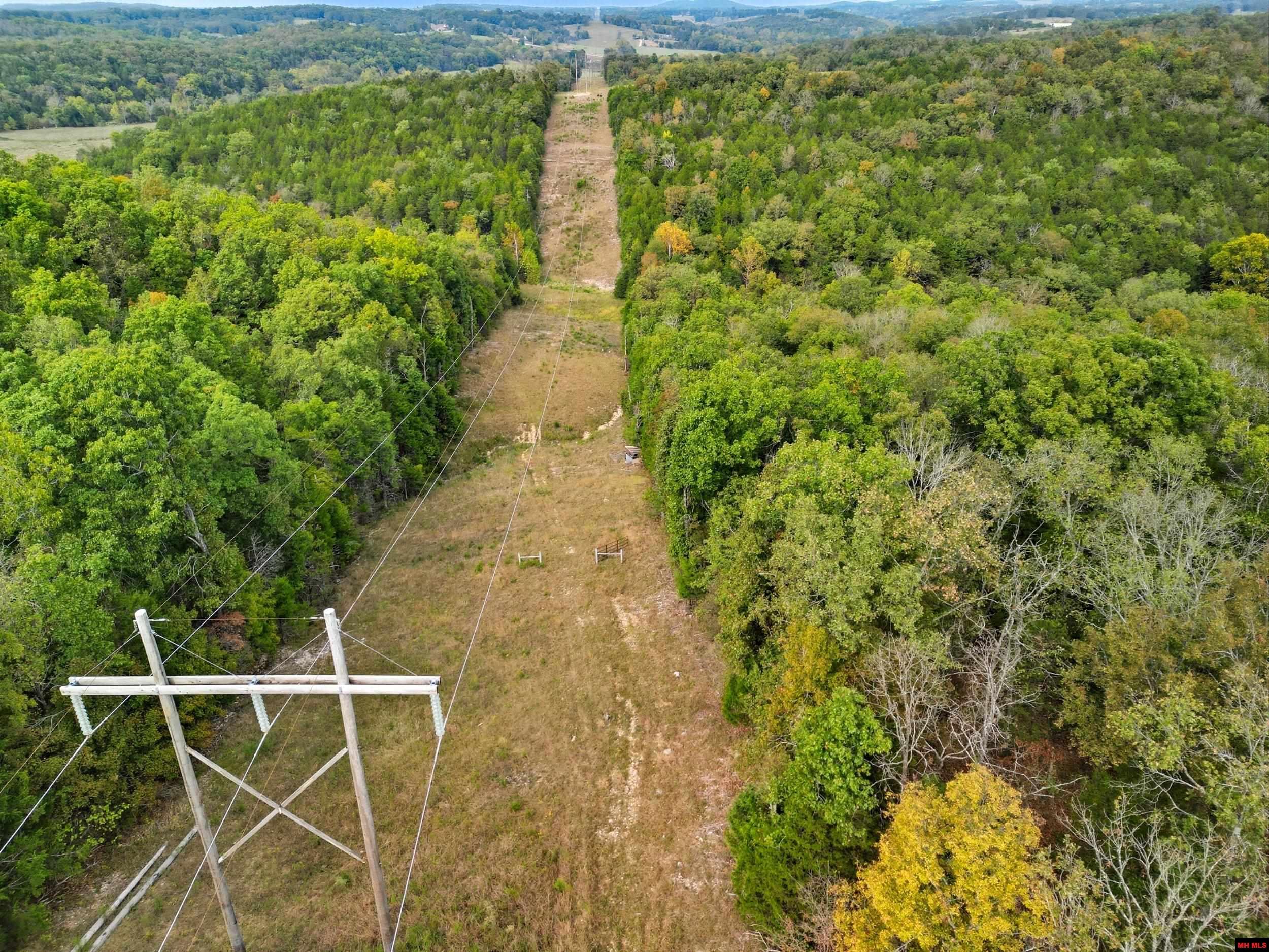 090516000000009 Tall Timbers Trail