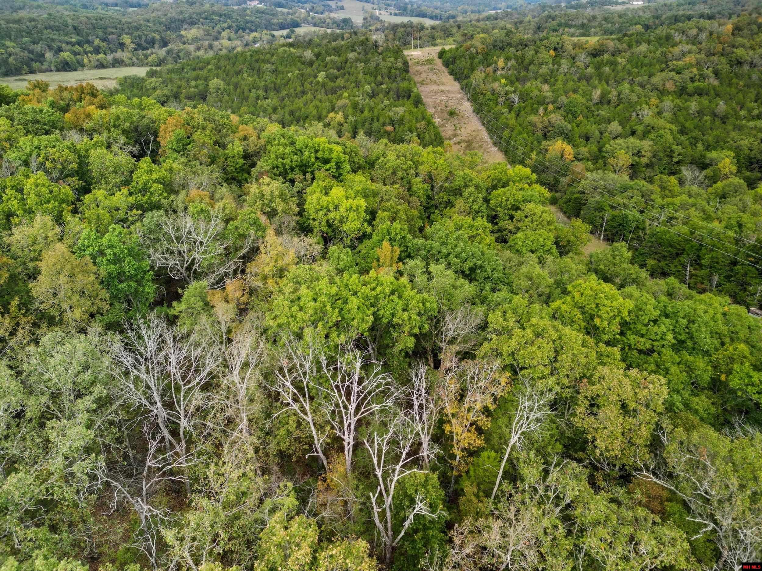 090516000000009 Tall Timbers Trail