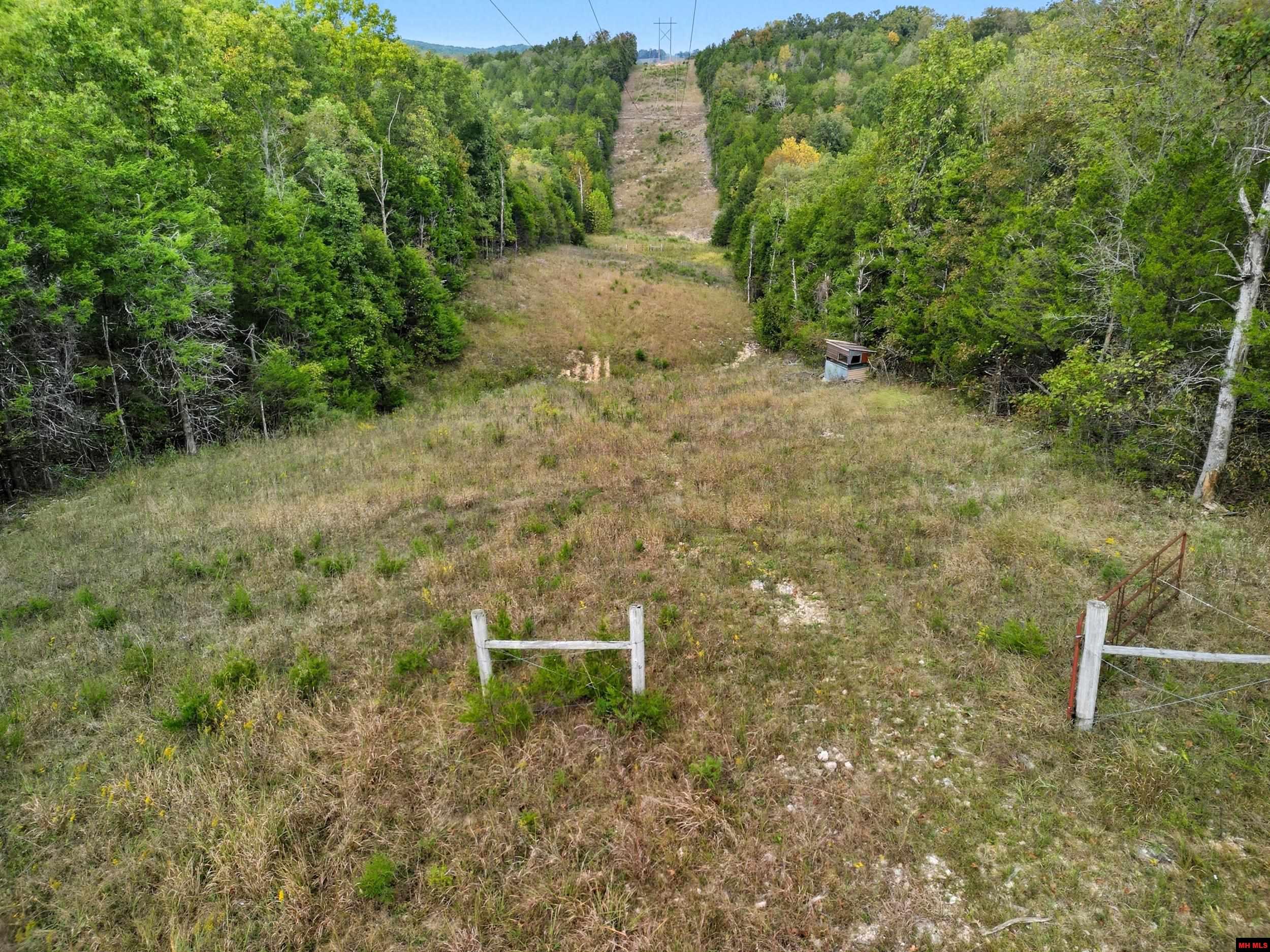 090516000000009 Tall Timbers Trail