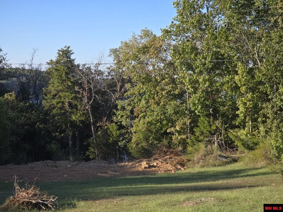 760-24339-013 Ferncliff Point