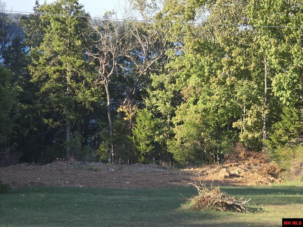 760-24339-013 Ferncliff Point