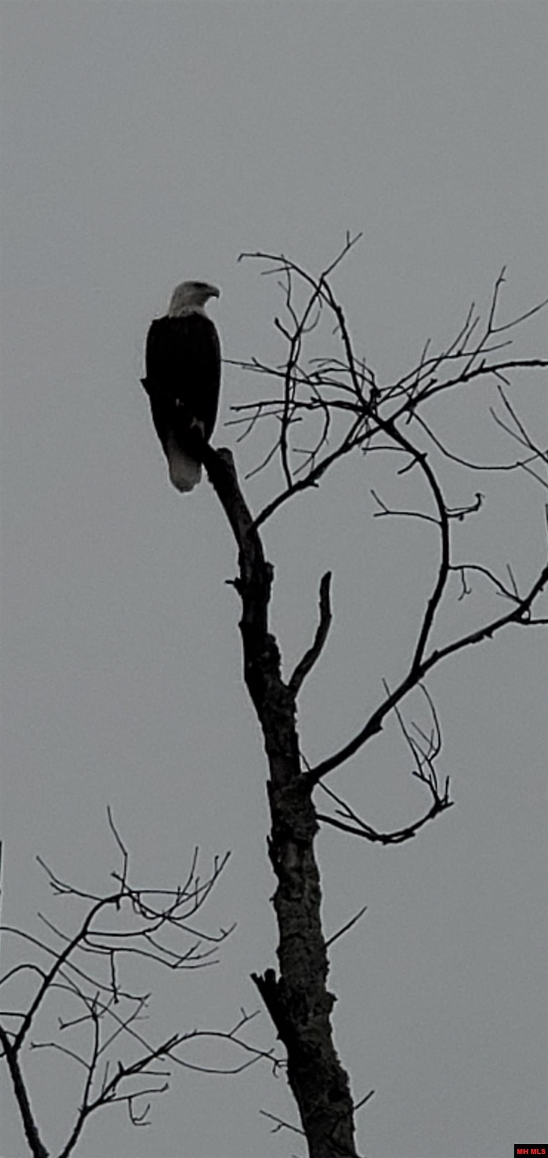 3694 County Road 5320