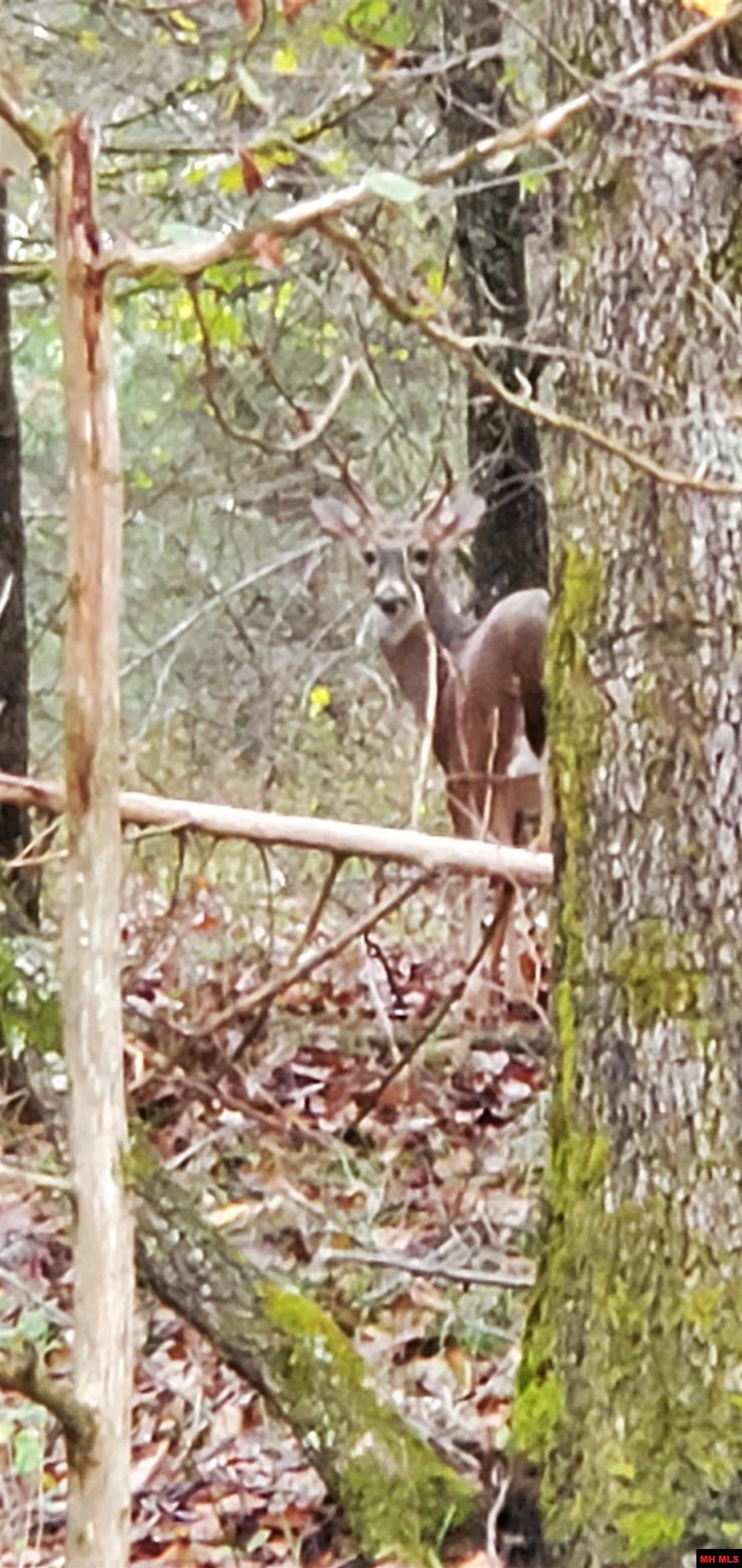 3694 County Road 5320