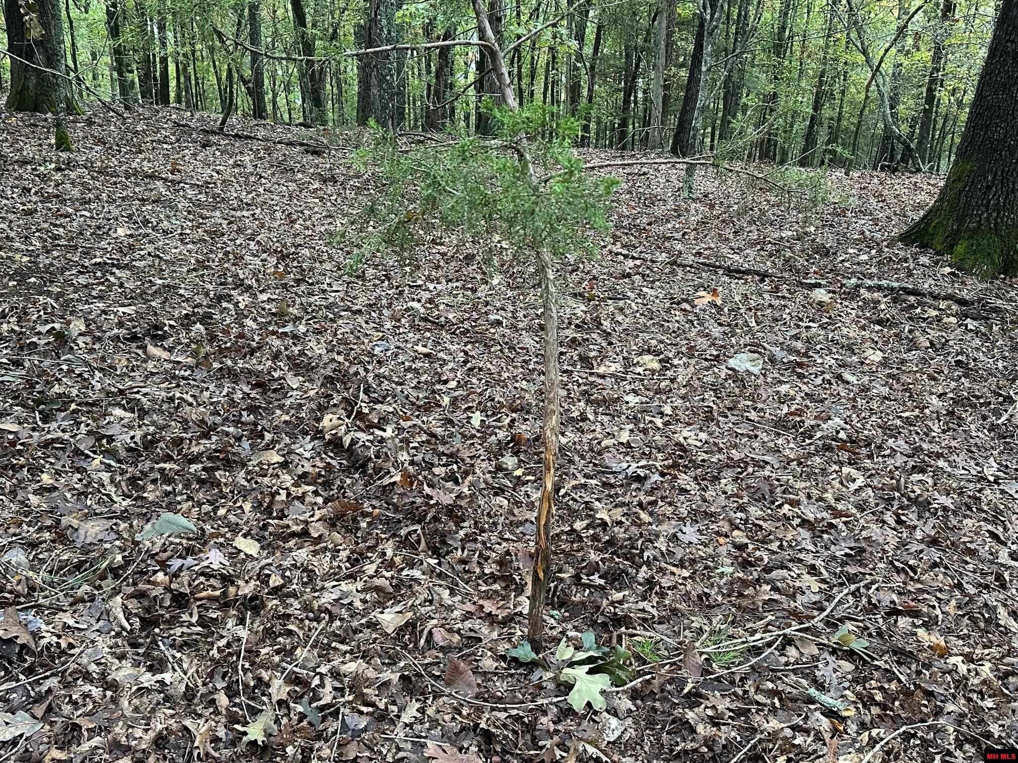 396-00004-000 Mc 8012