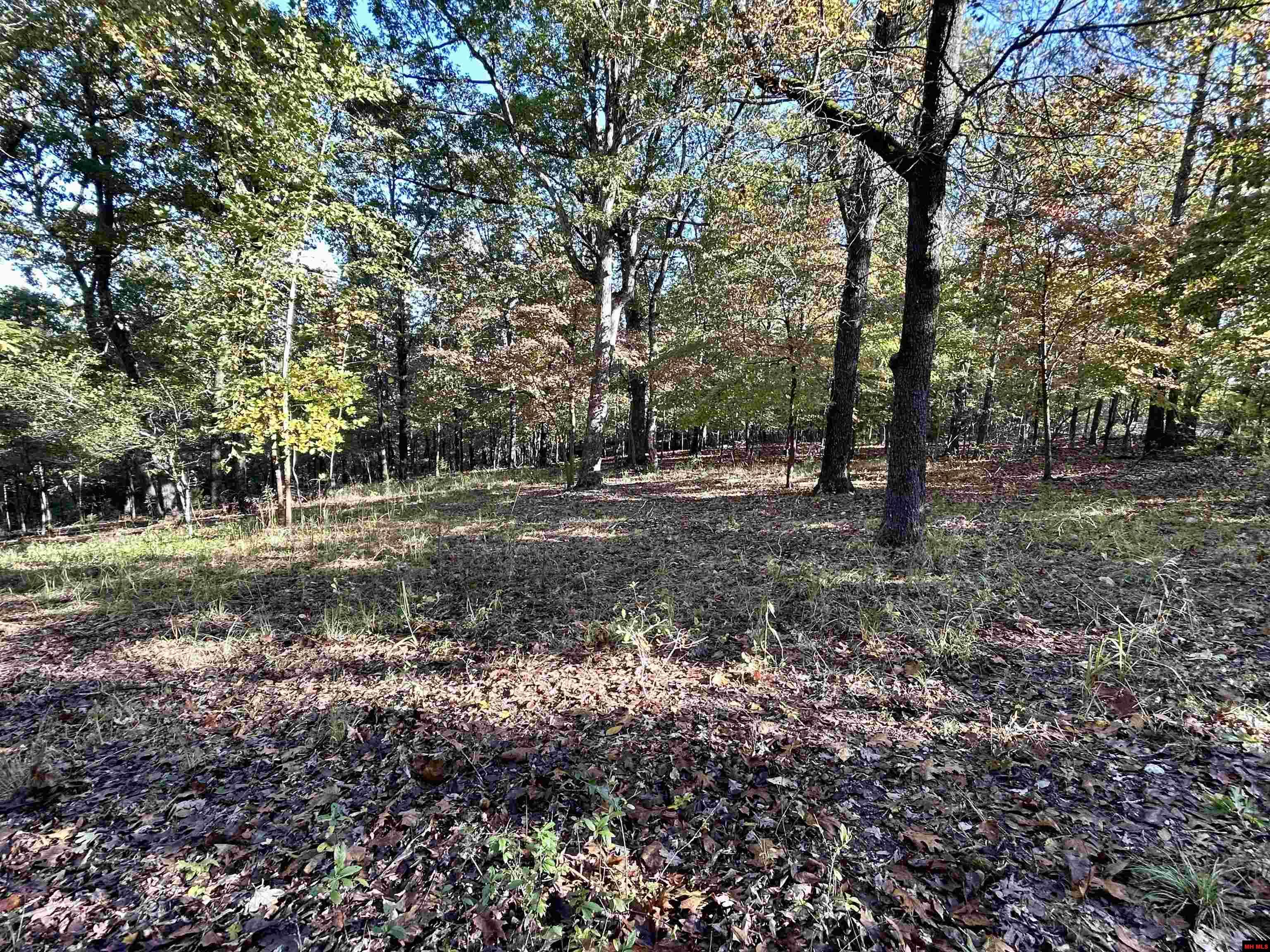 001-03309-006 Oakley Road