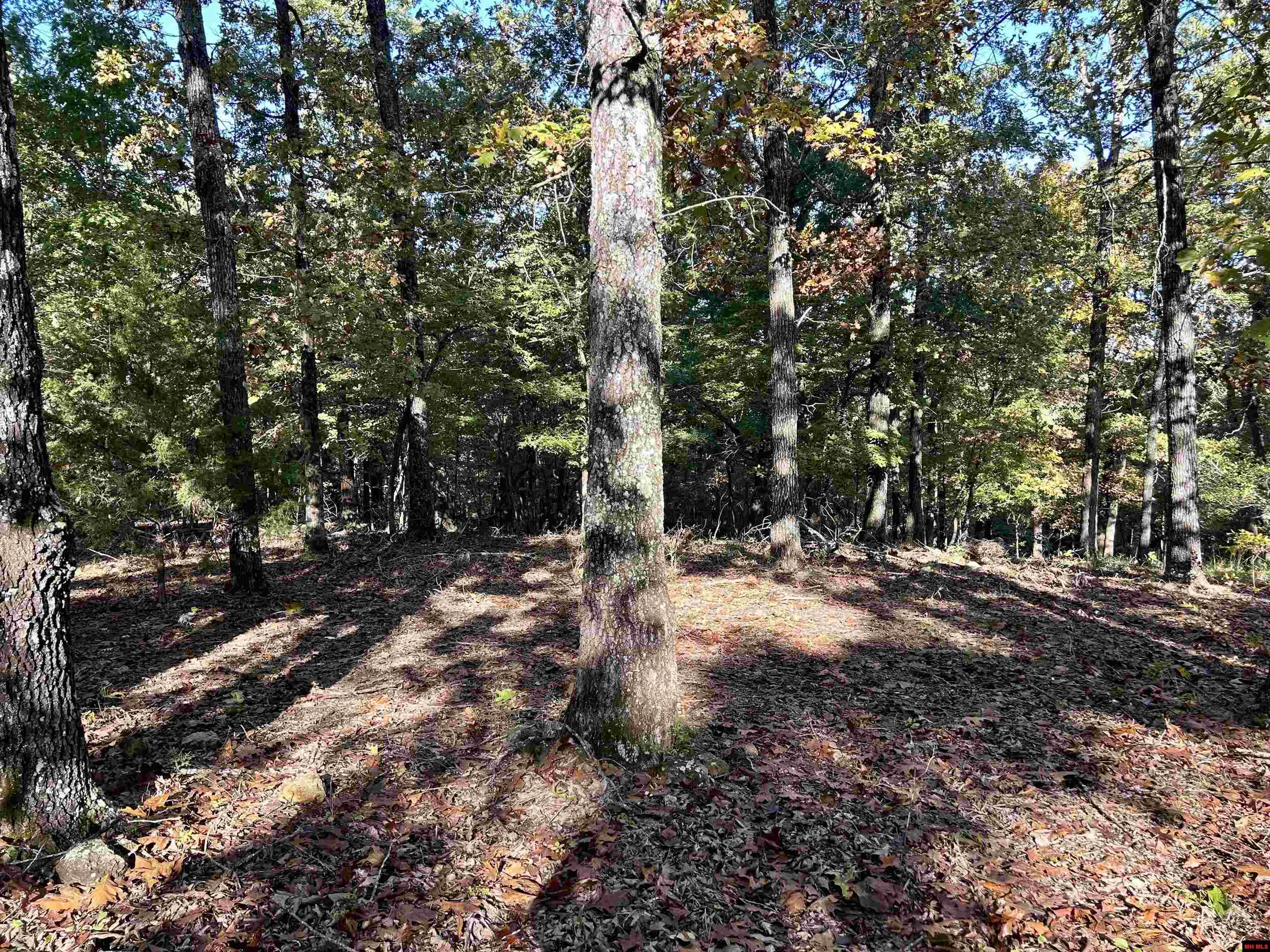 001-03309-006 Oakley Road