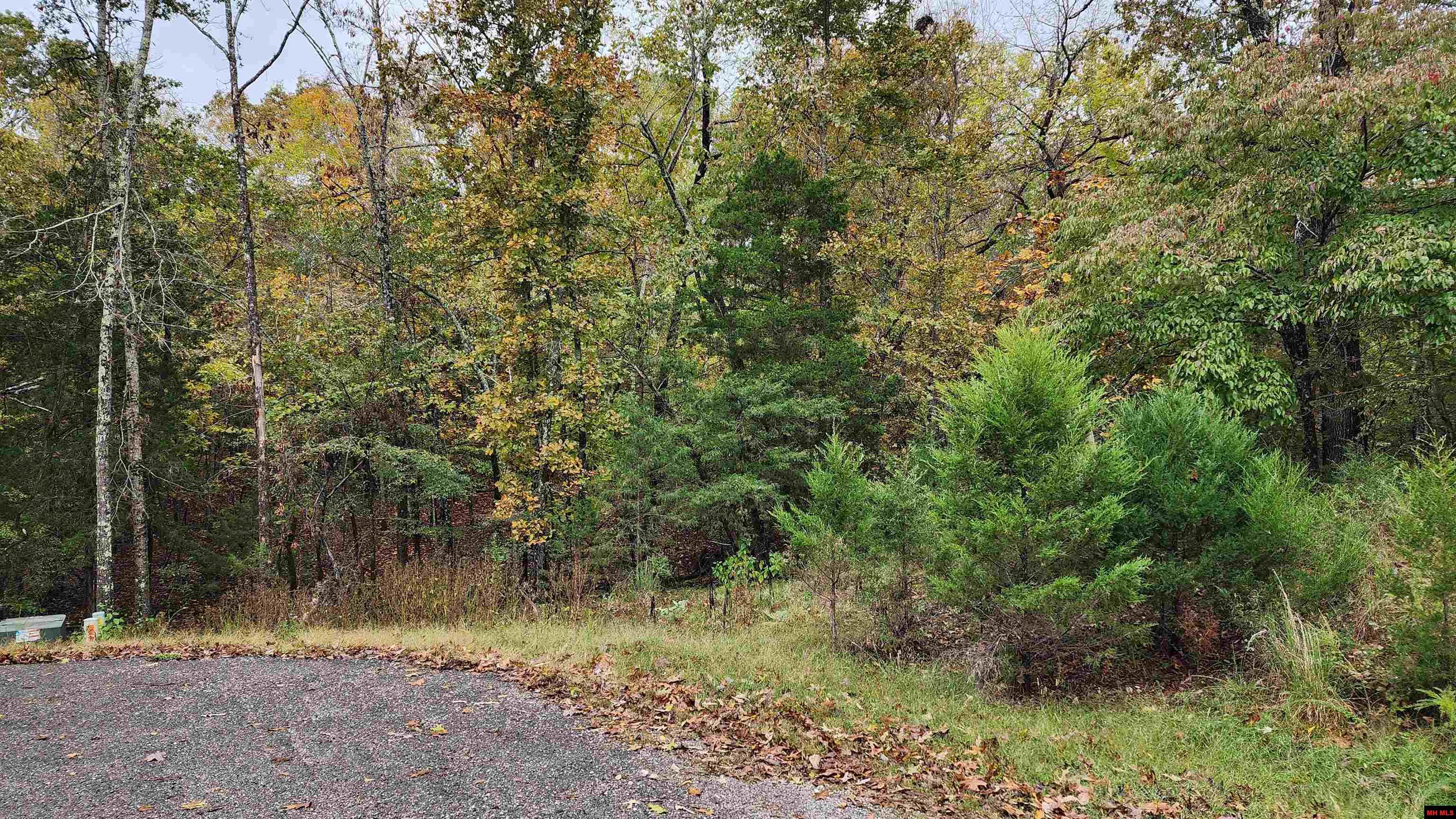 Lot 40 Bluffview Place