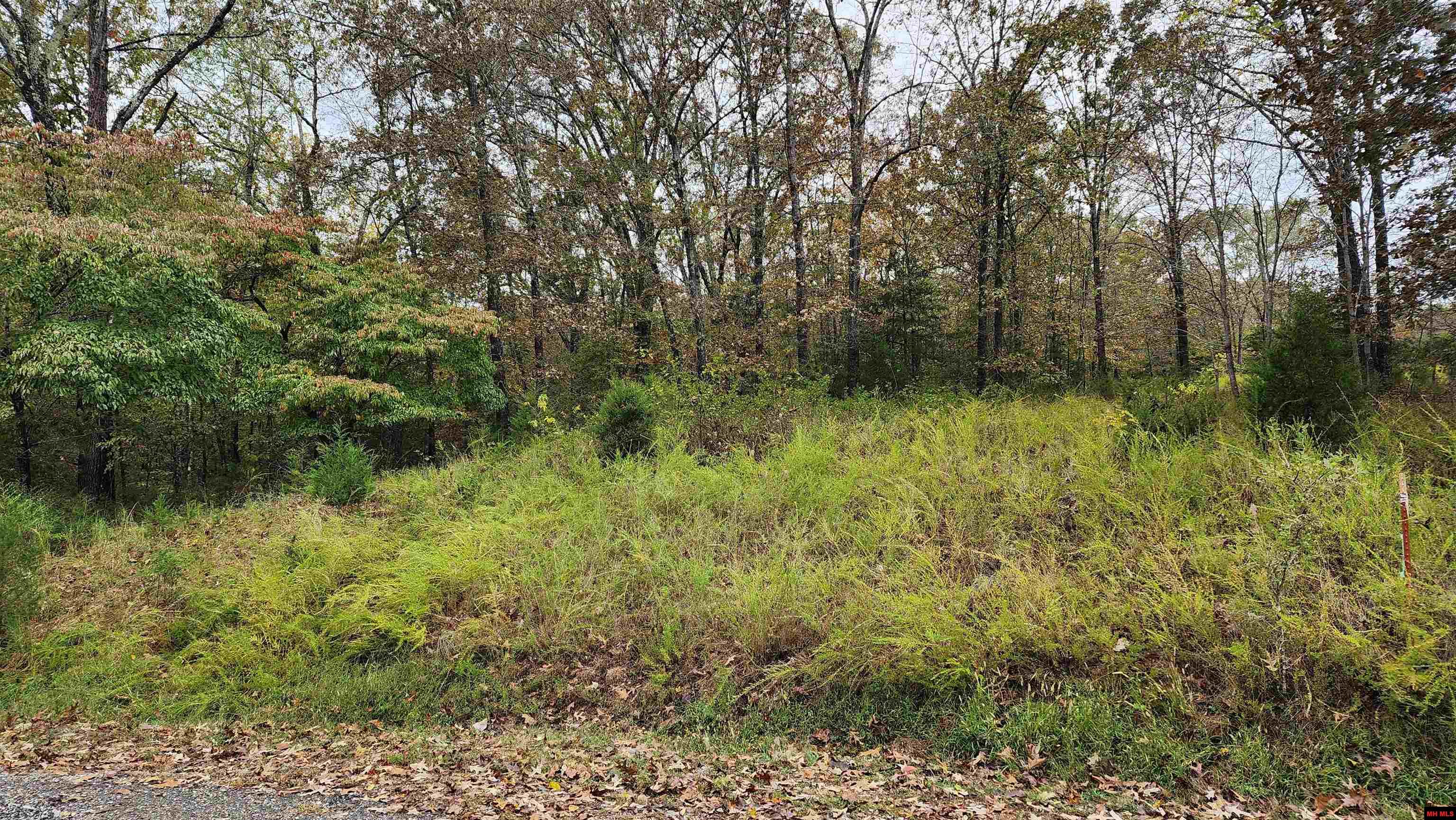 Lot 40 Bluffview Place