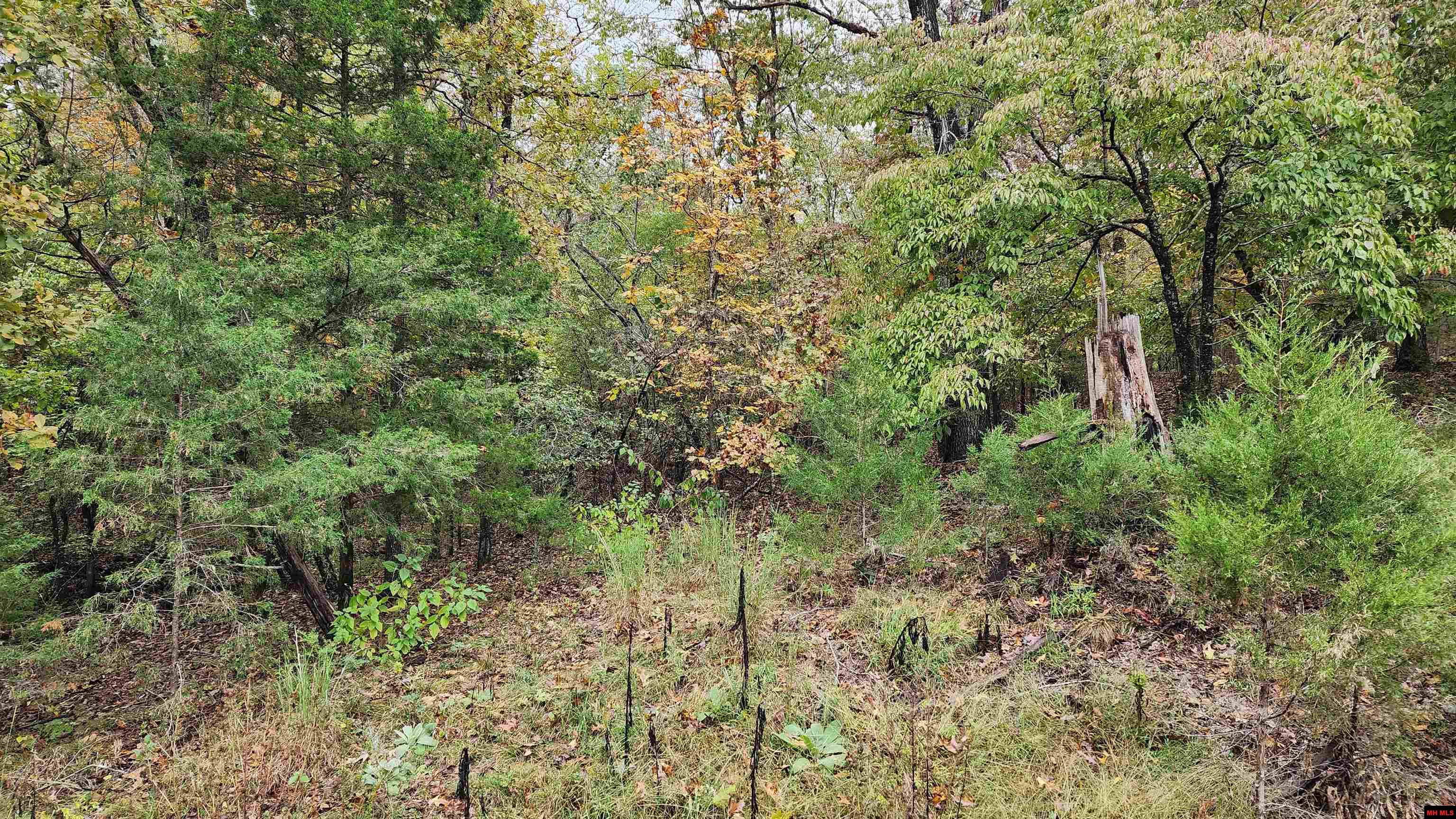 Lot 40 Bluffview Place