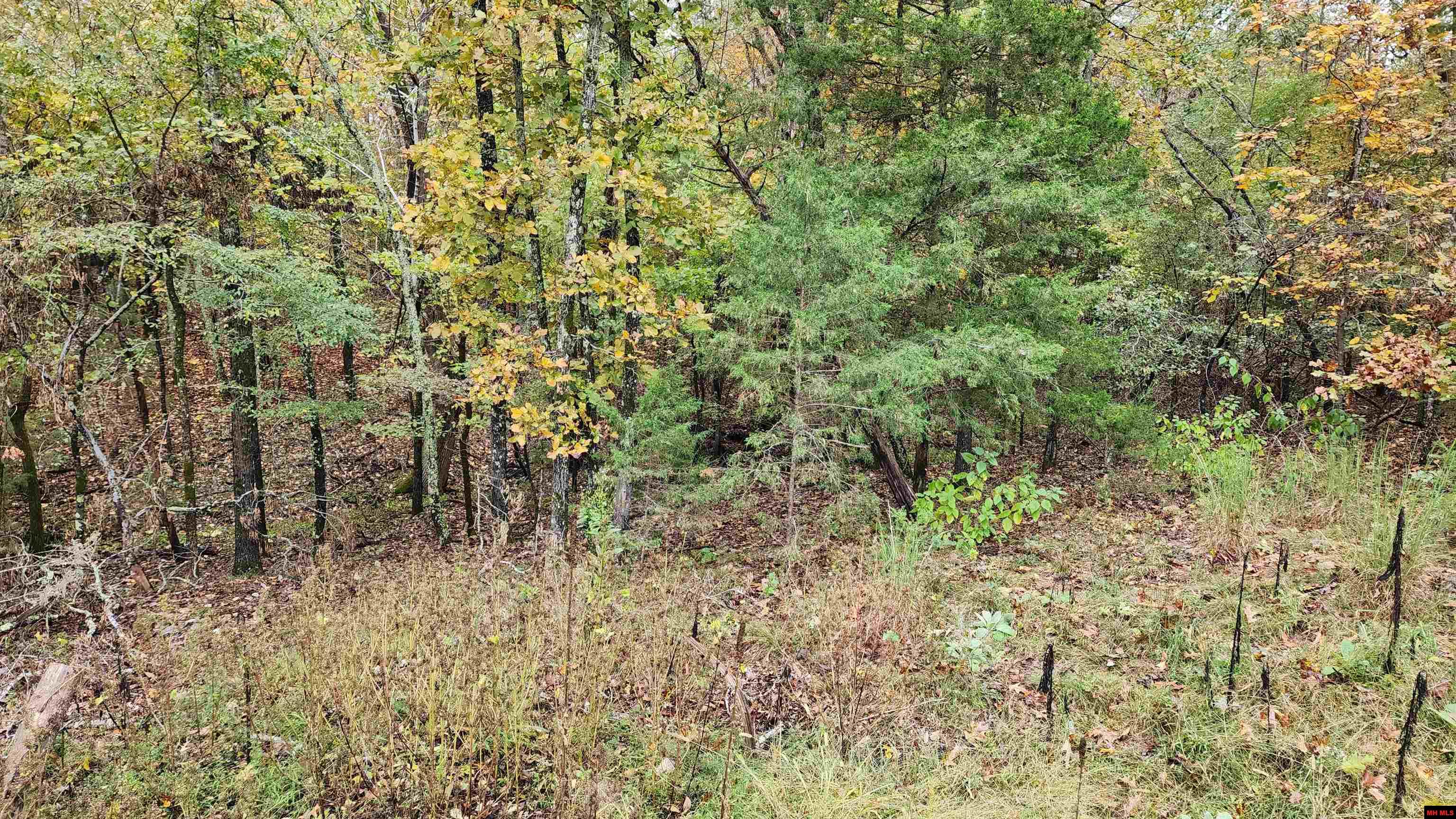 Lot 40 Bluffview Place