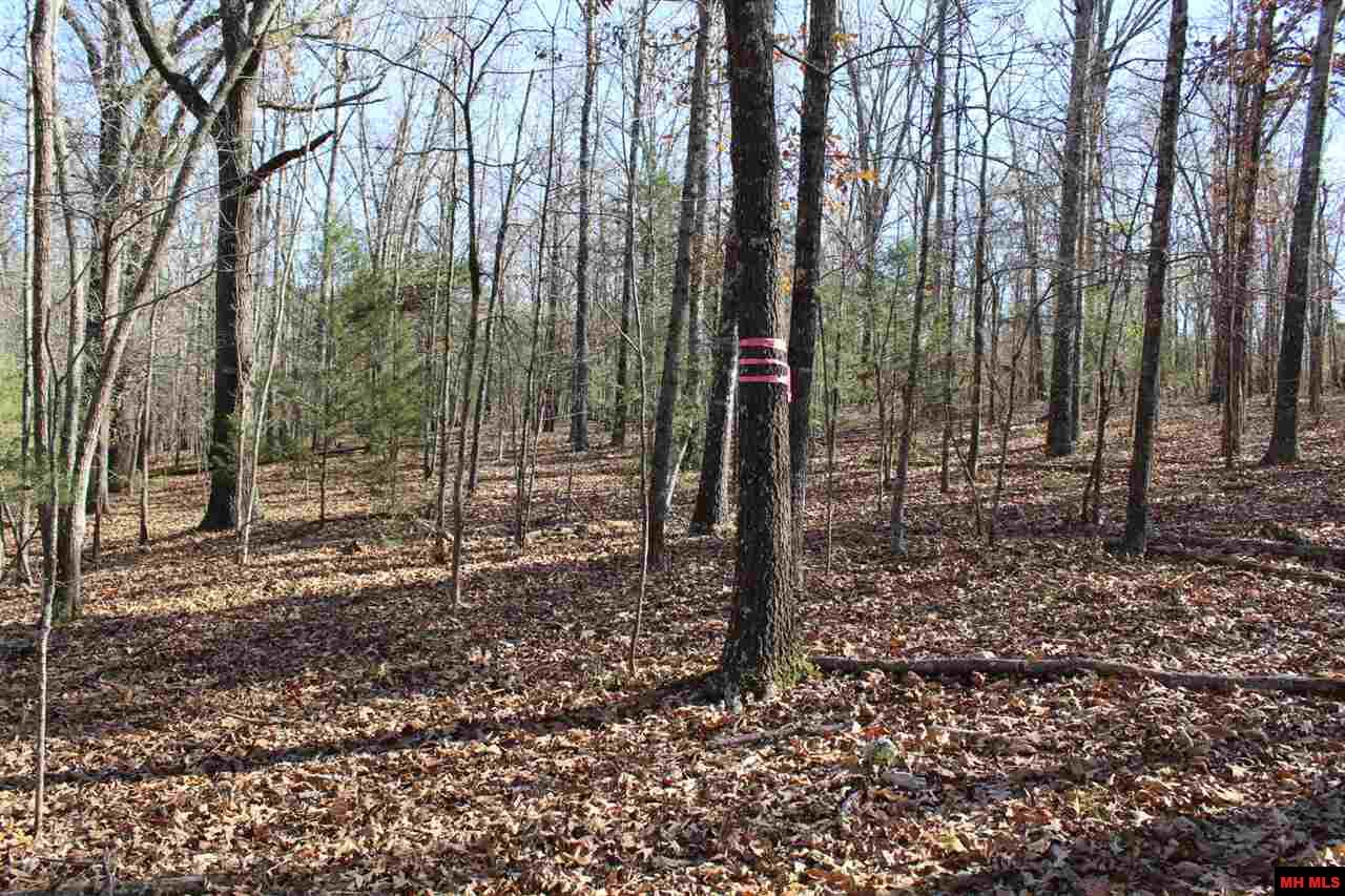 Lot 40 Bluffview Place