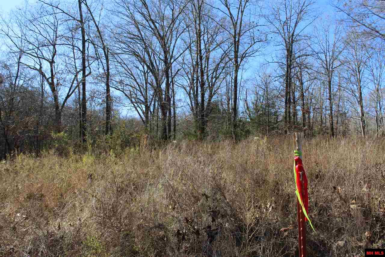 Lot 40 Bluffview Place