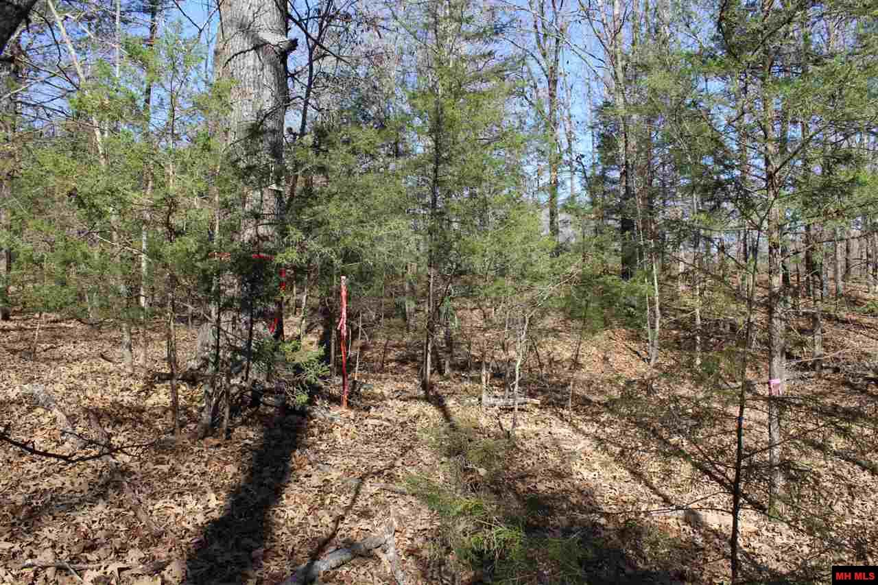 Lot 40 Bluffview Place