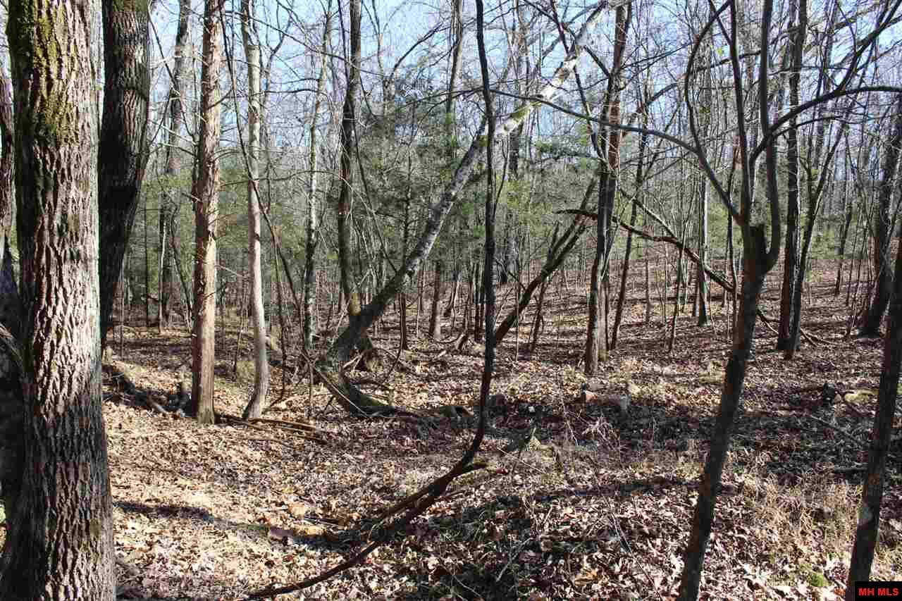 Lot 40 Bluffview Place