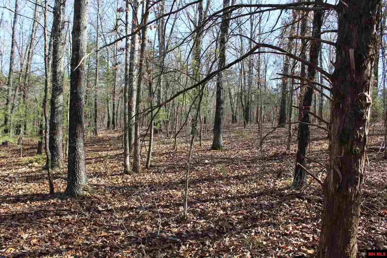 Lot 40 Bluffview Place