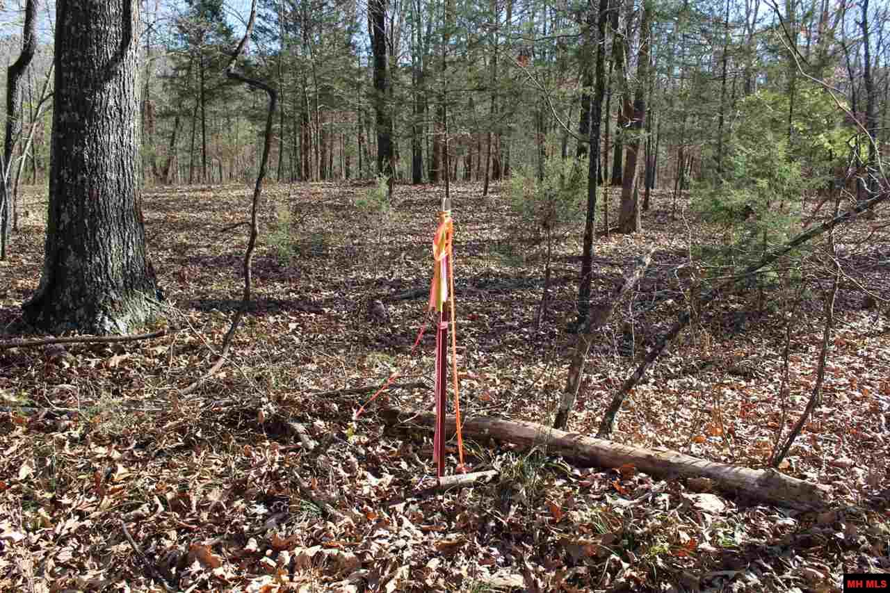 Lot 40 Bluffview Place