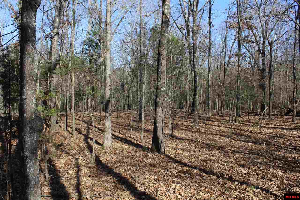 Lot 40 Bluffview Place