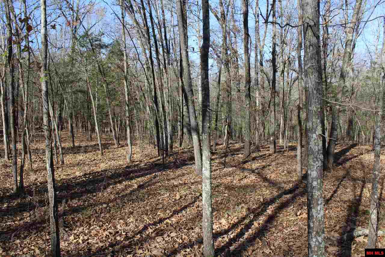 Lot 40 Bluffview Place