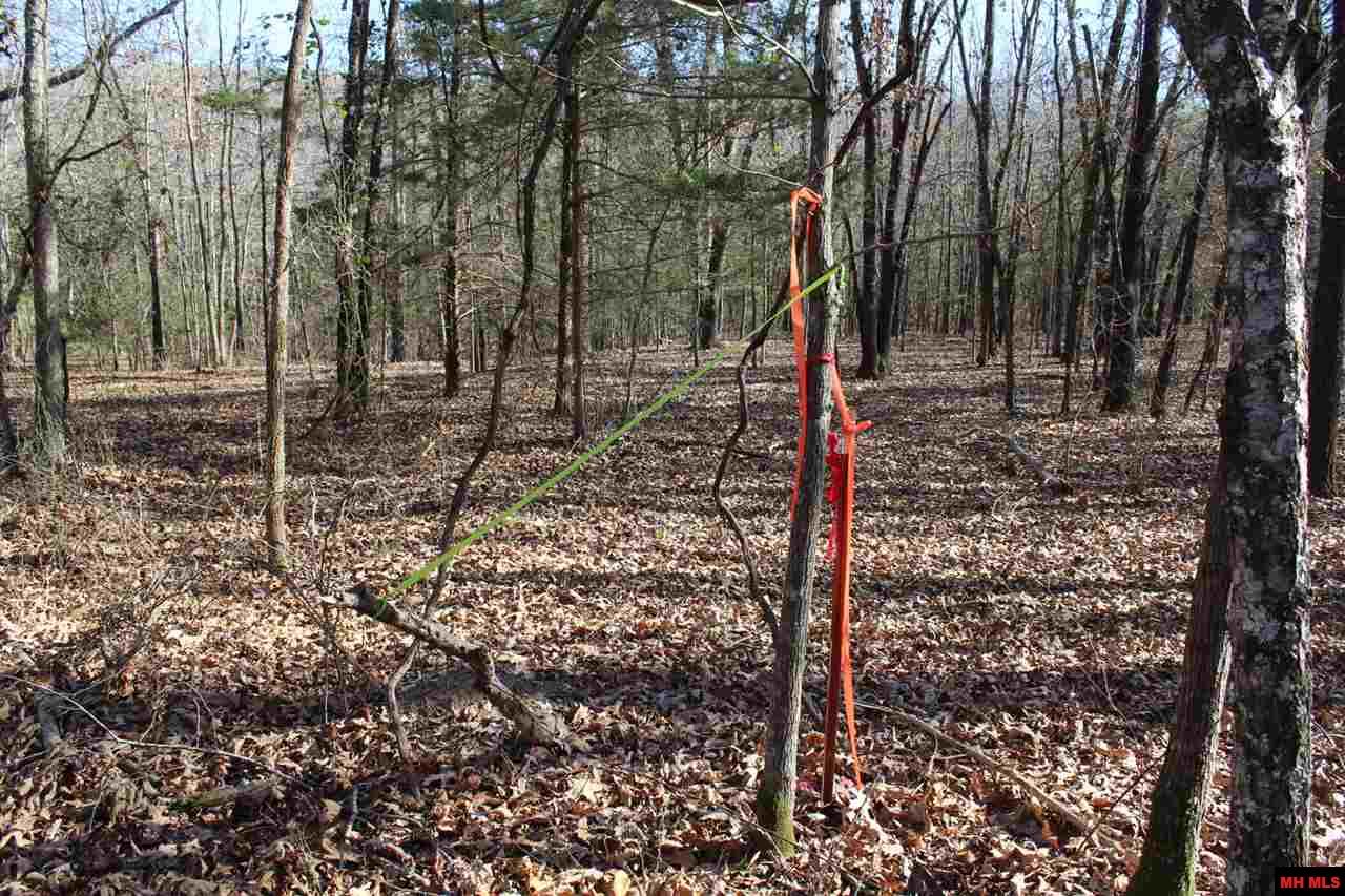 Lot 40 Bluffview Place