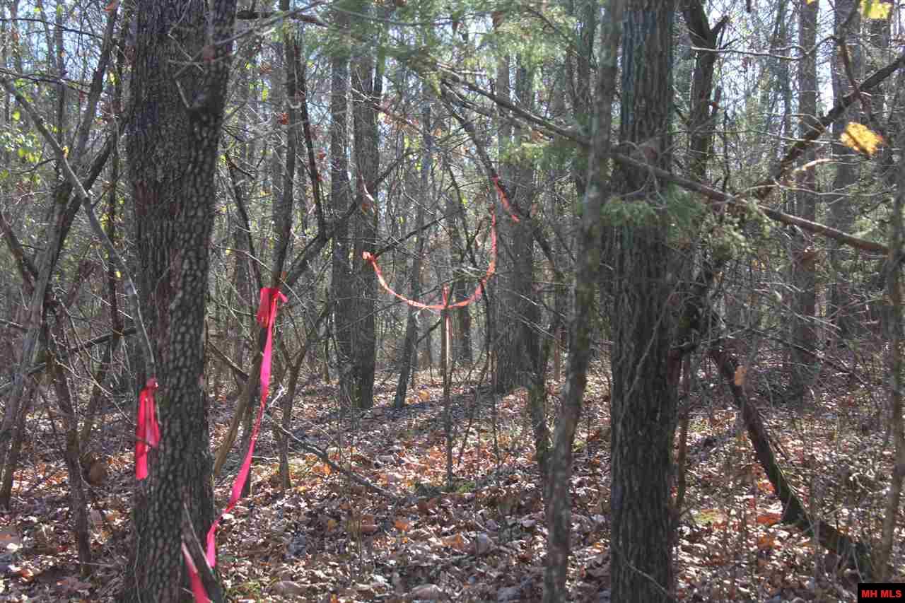 Lot 40 Bluffview Place