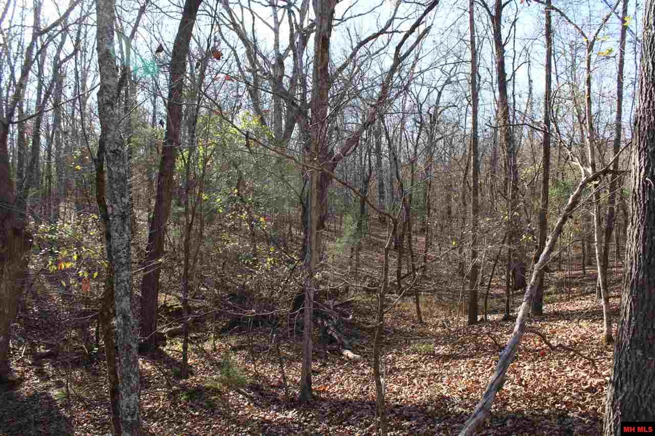 Lot 40 Bluffview Place