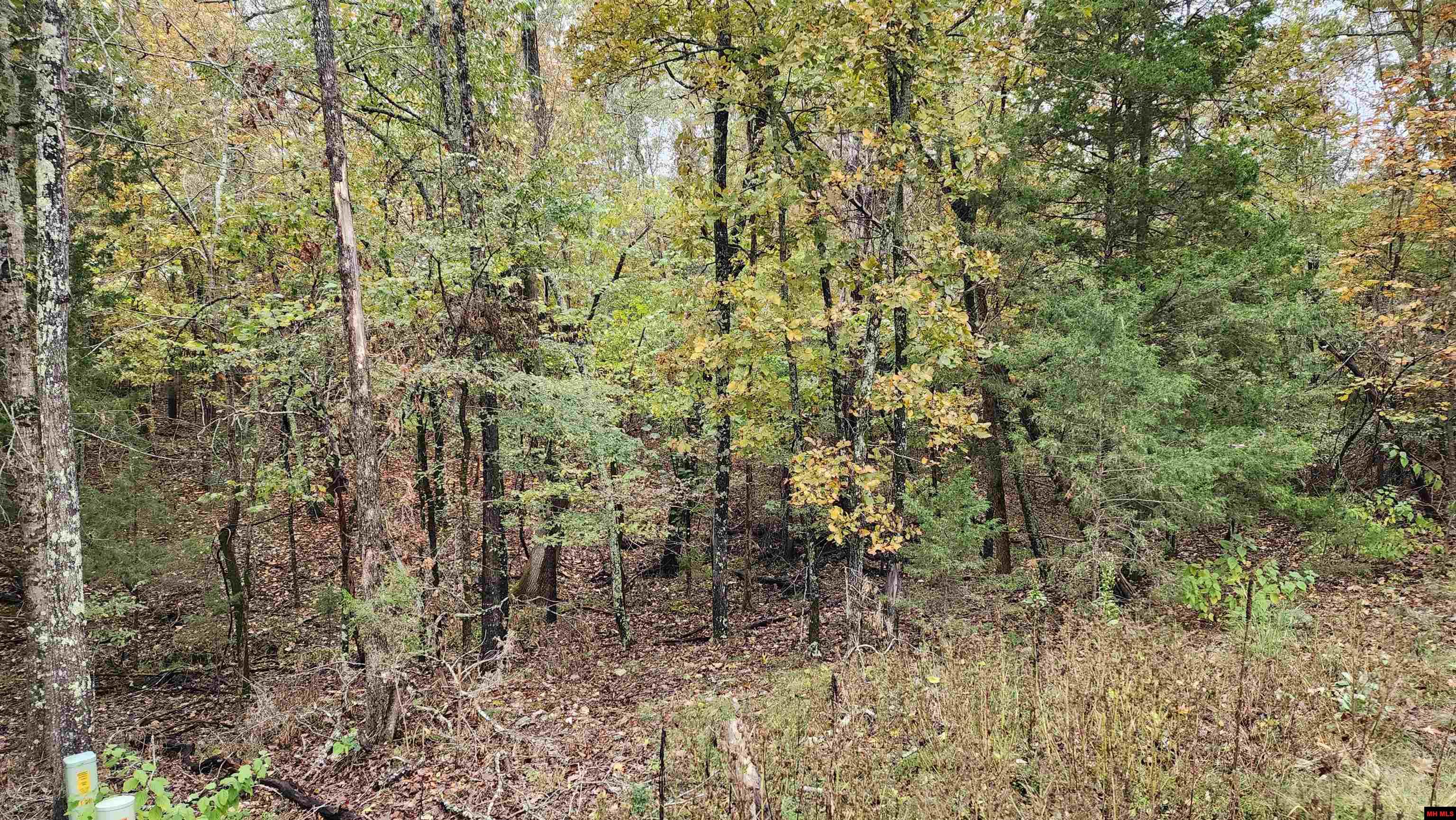 Lot 40 Bluffview Place